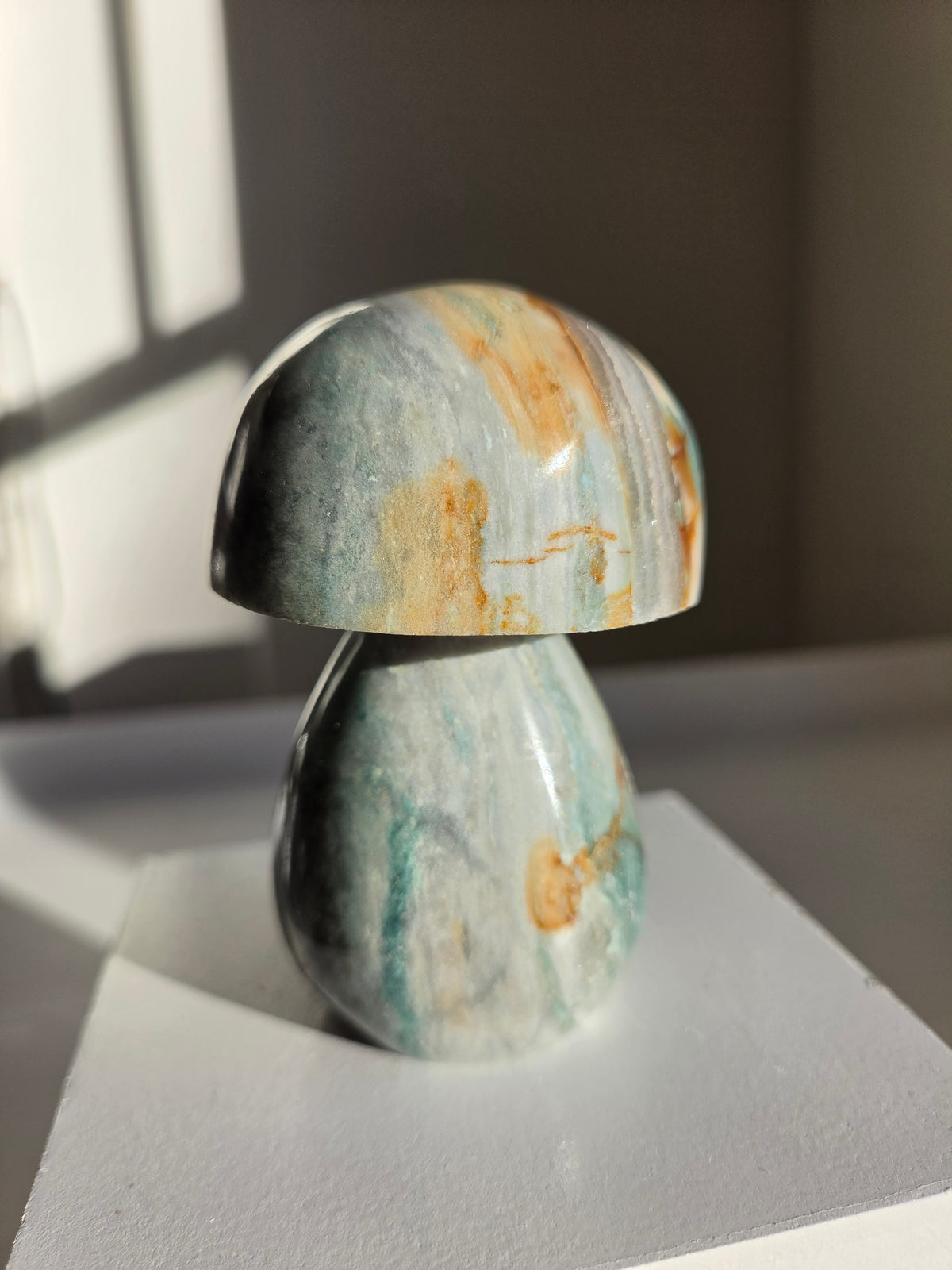 Sea Jasper Mushroom 007