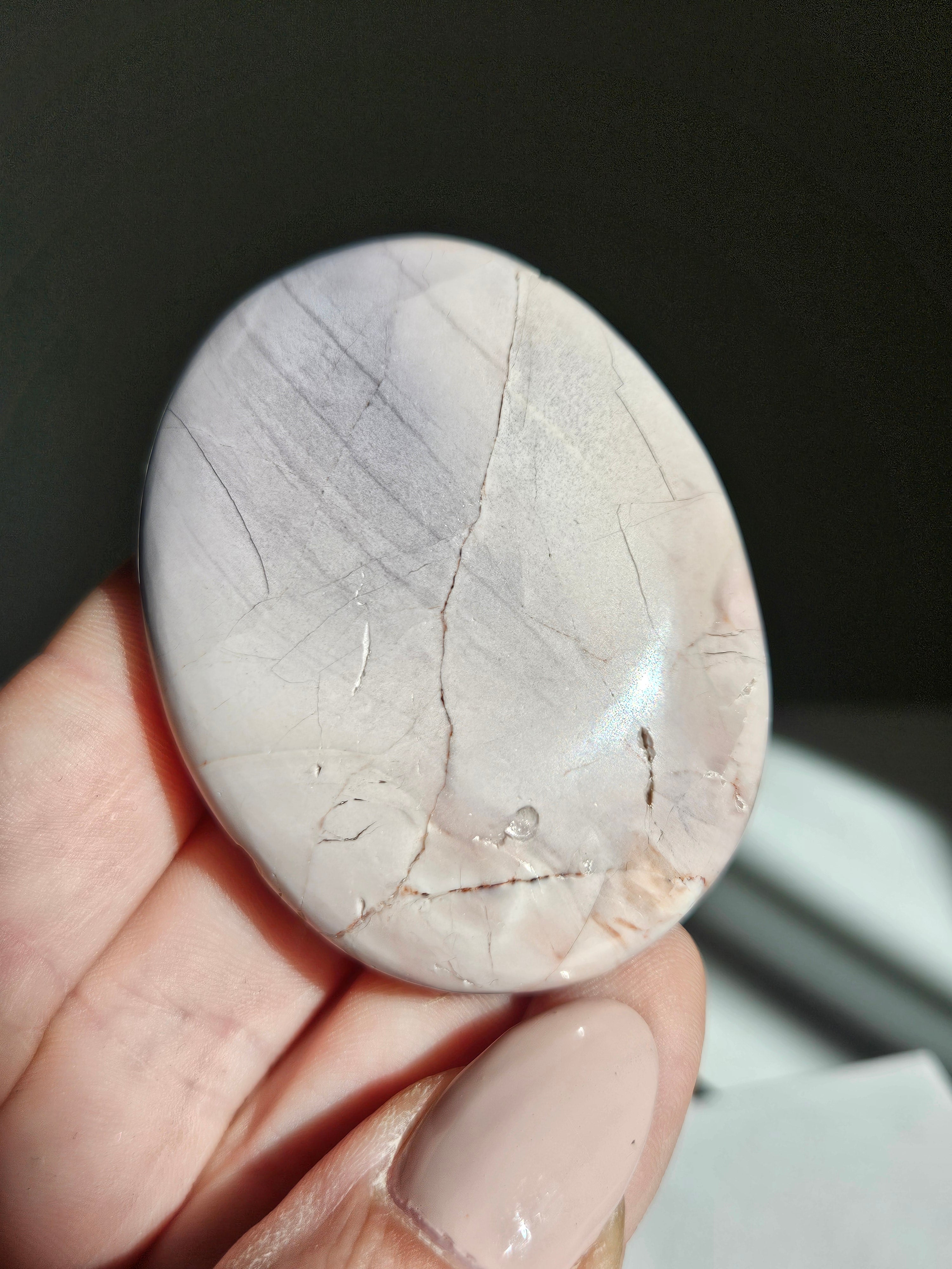 Hyacinth jasper palm 004