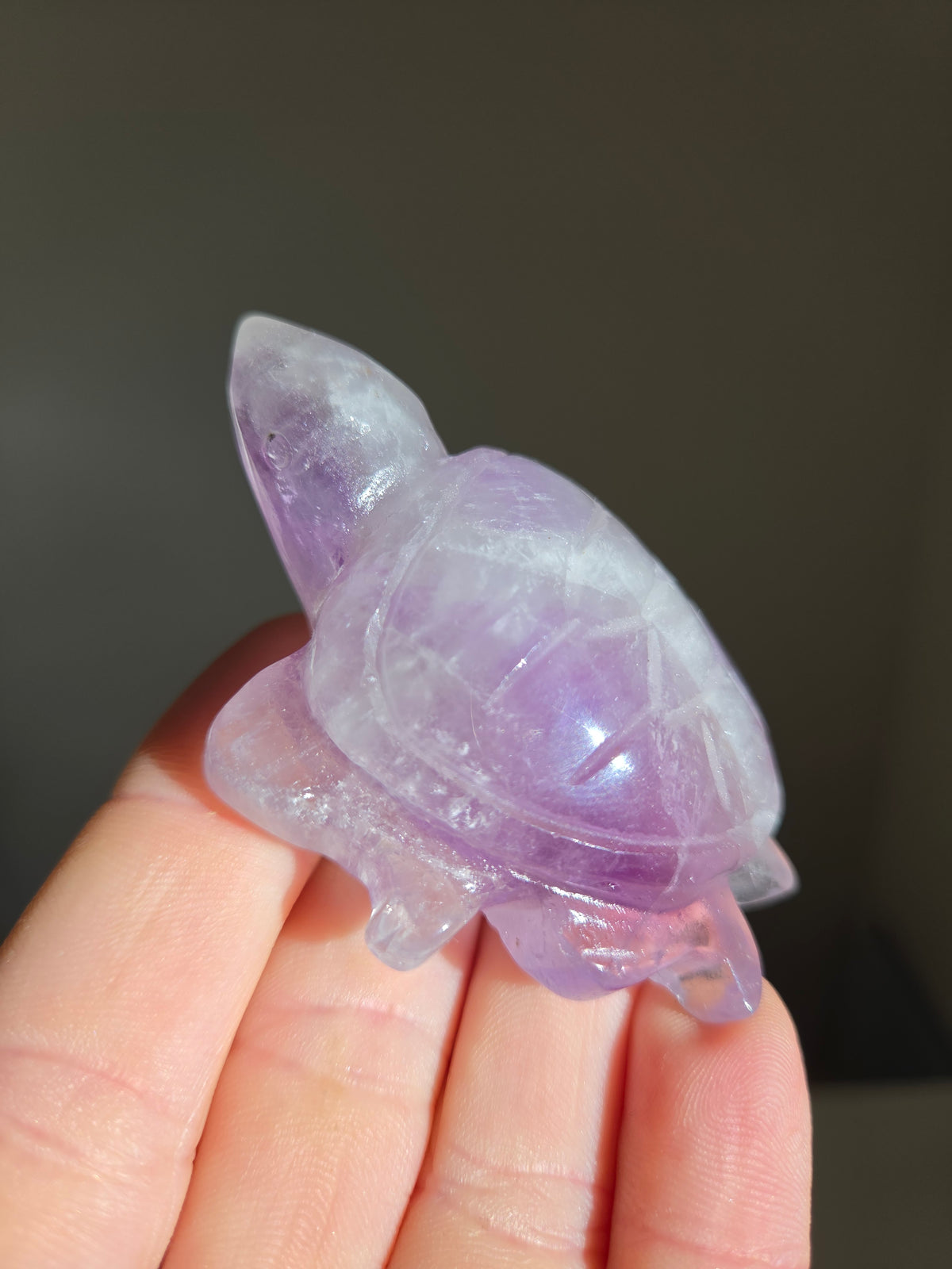 Amethyst Turtle 005