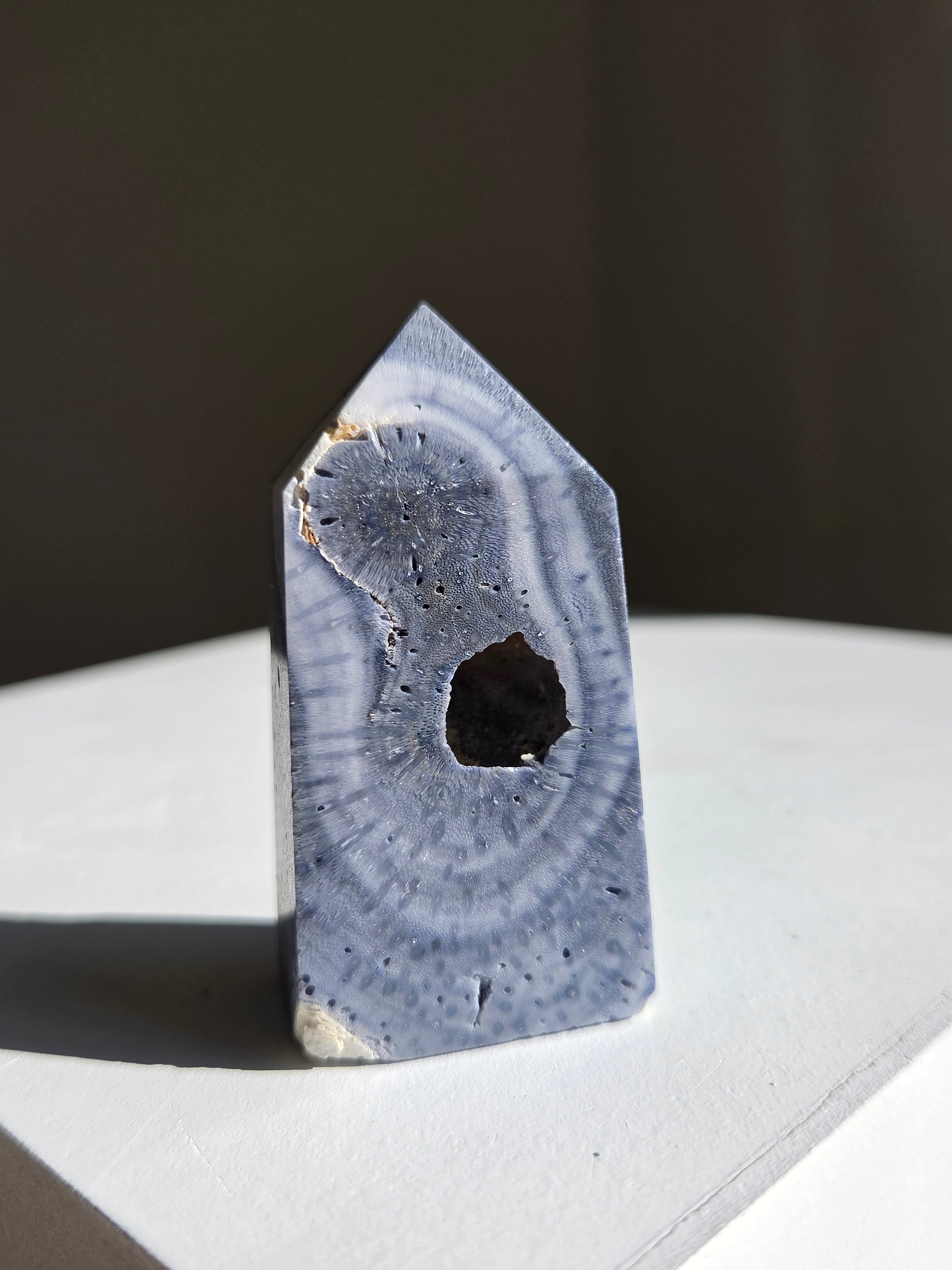 Blue Coral Tower 004