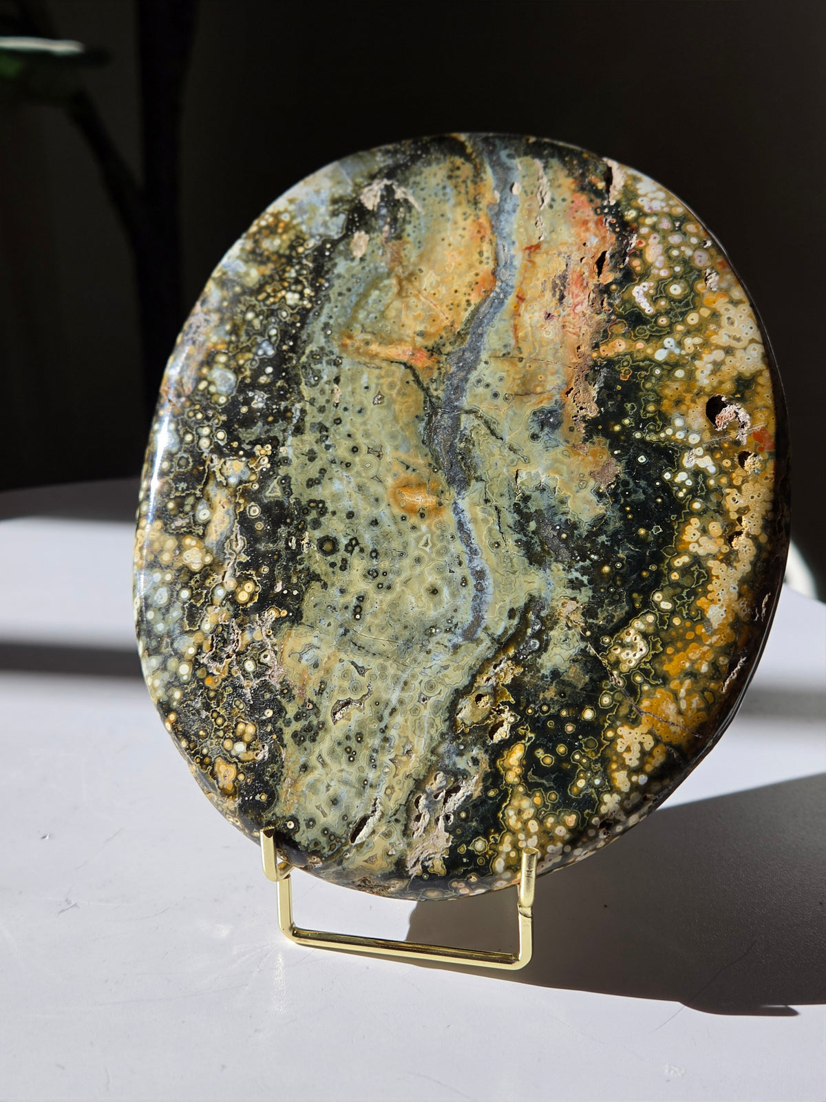 Sea Jasper Slab 011