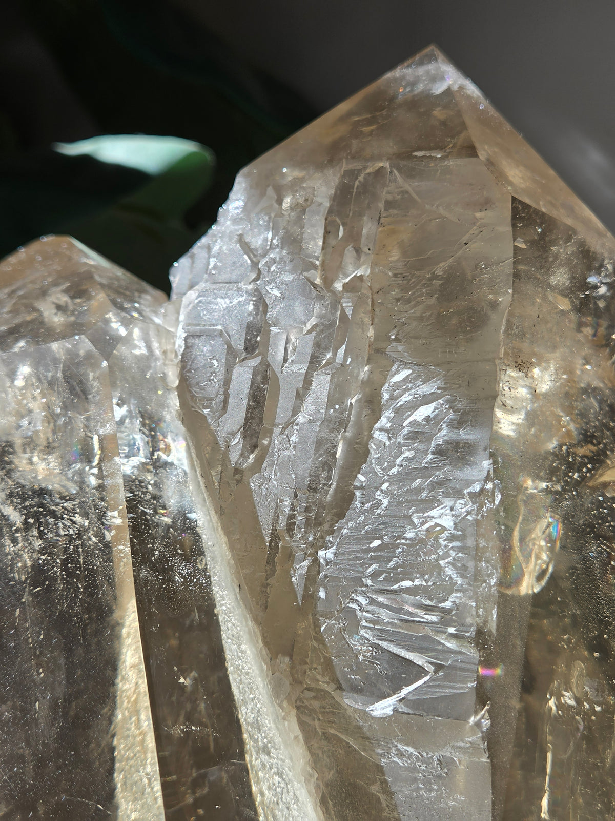 Semipolished Citrine Lemurian Twin Statement