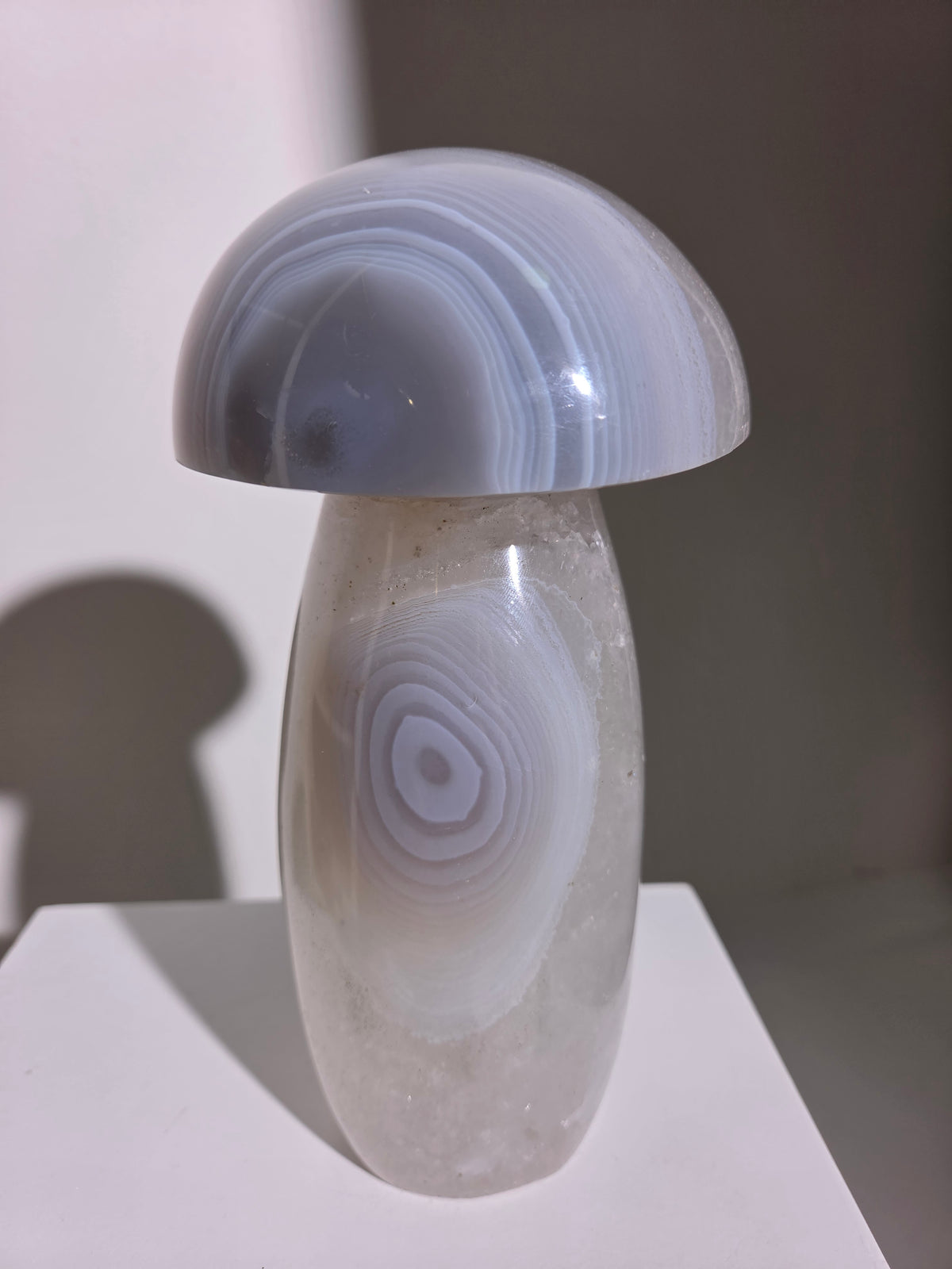 Banded Agate Mushroom