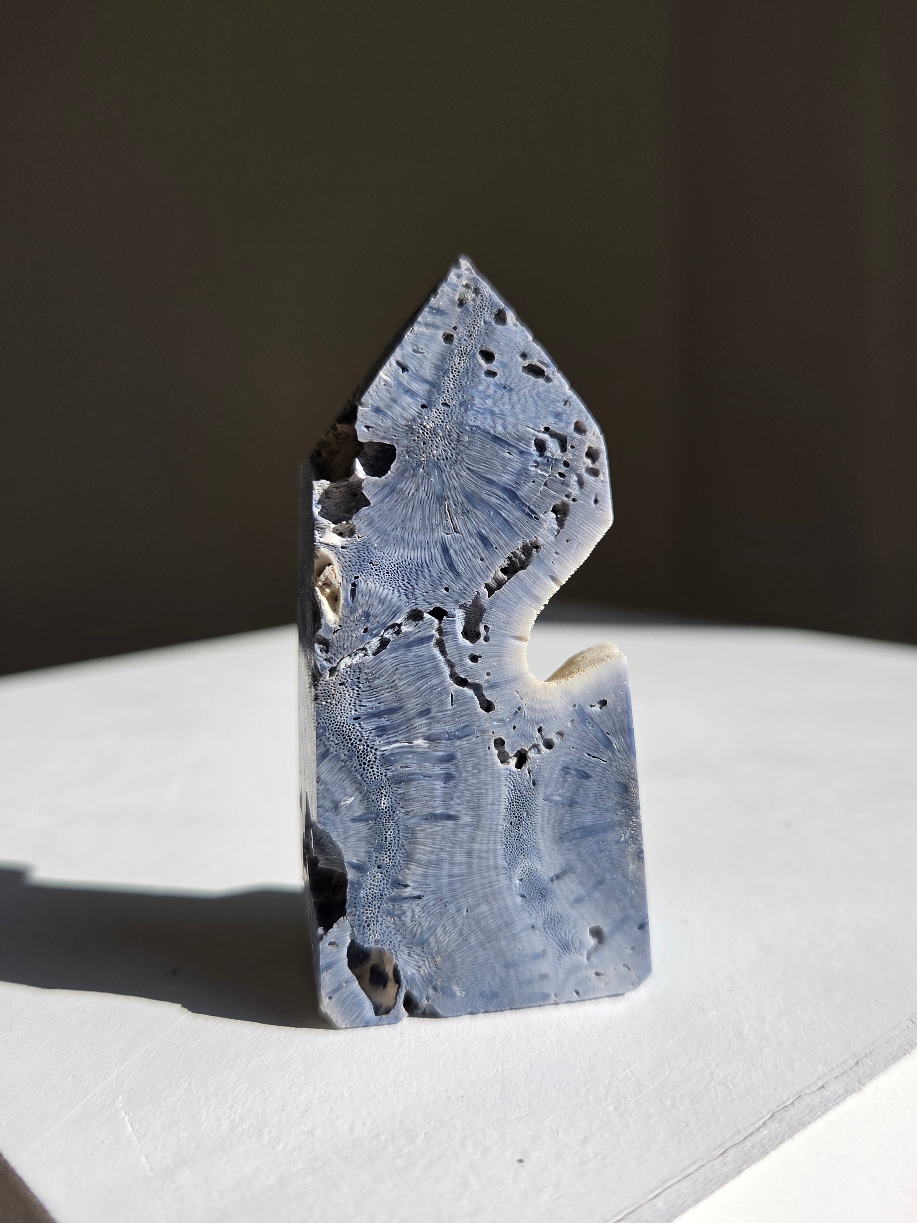 Blue Coral Tower 002