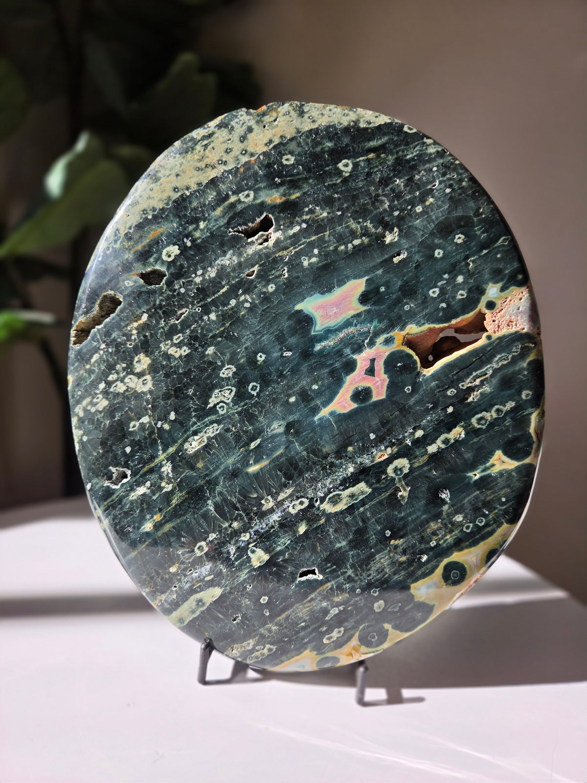 Sea Jasper Slab 014