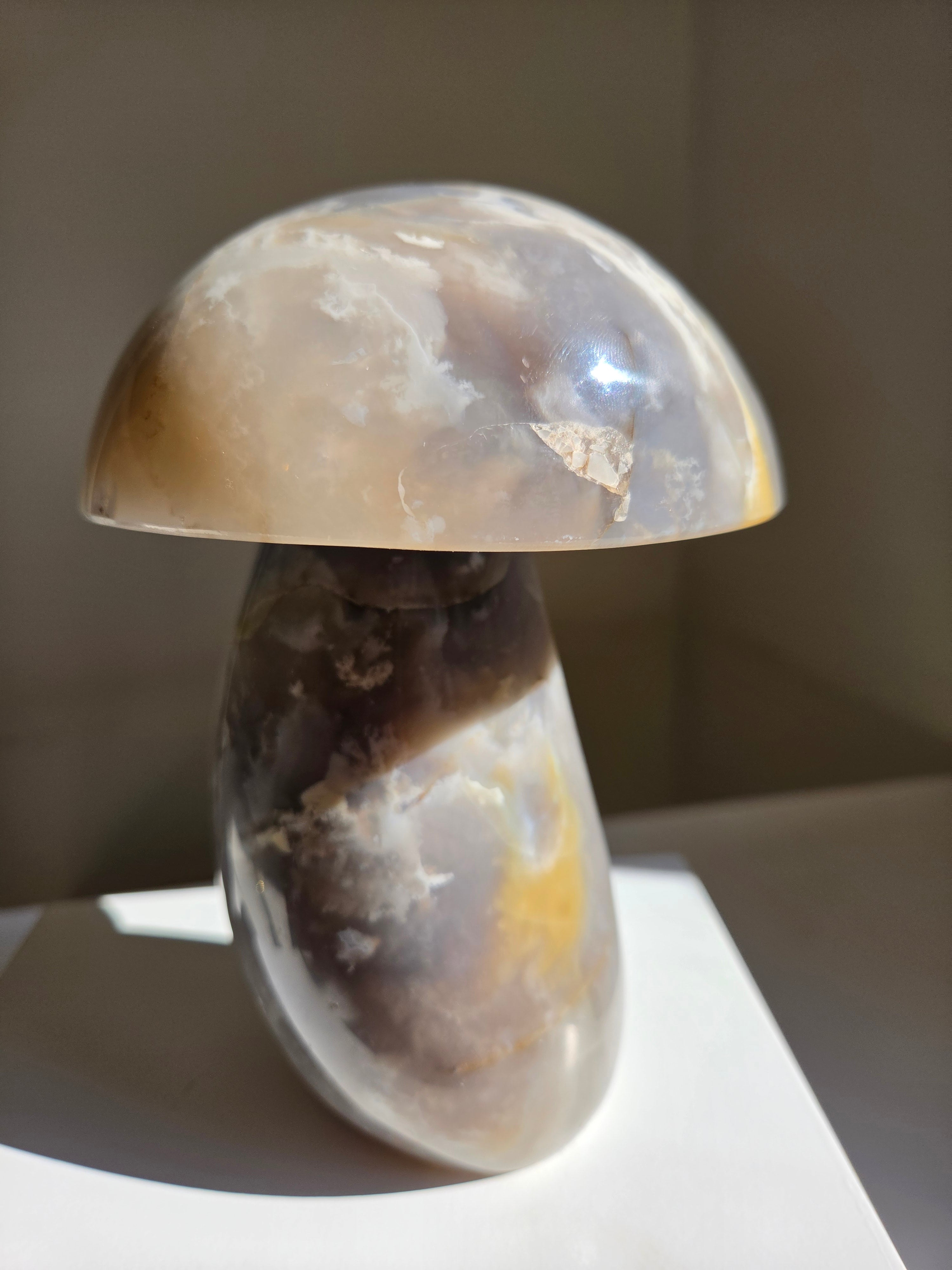 Sea Jasper Mushroom 014