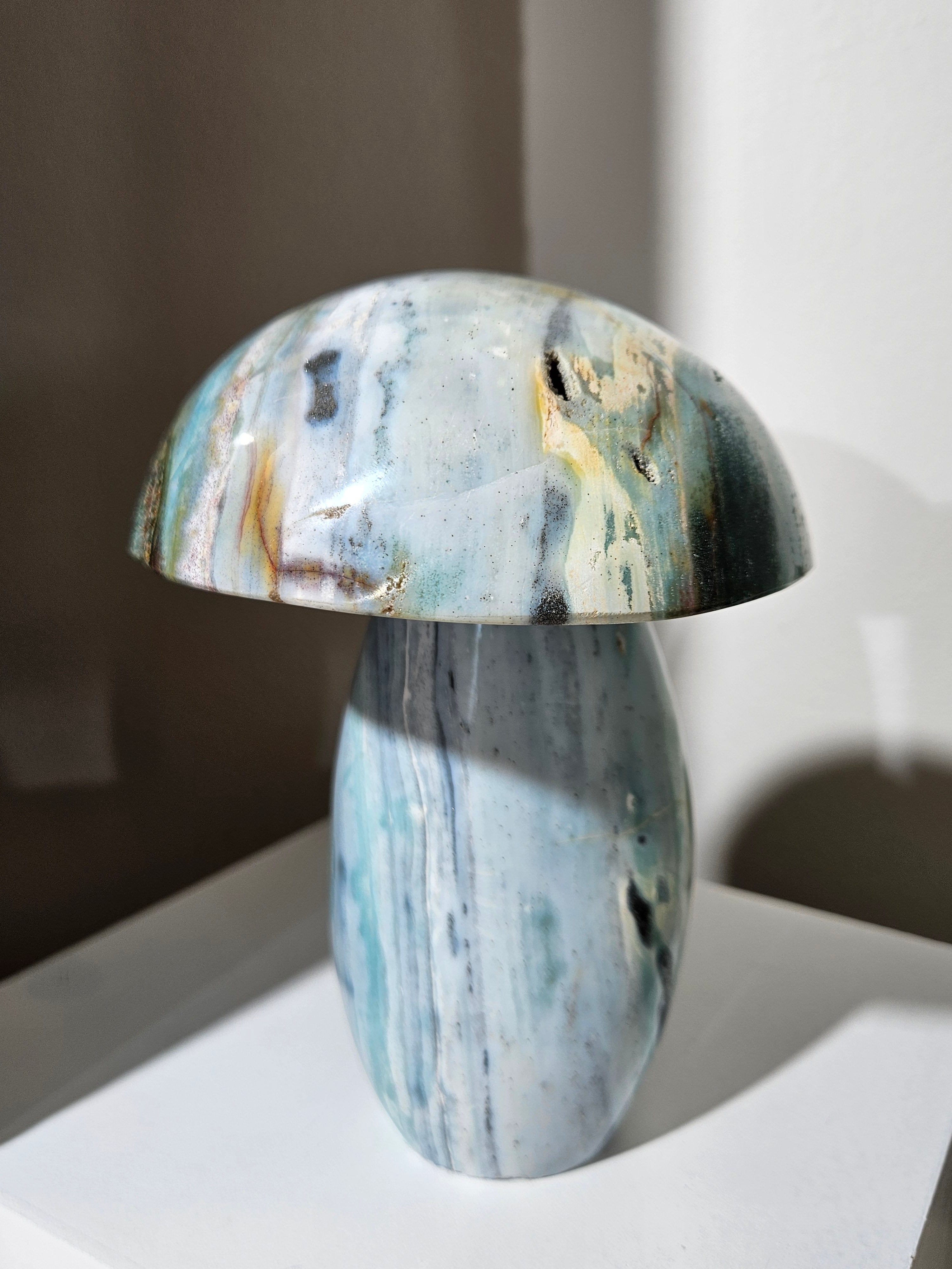 Sea Jasper Mushroom 012