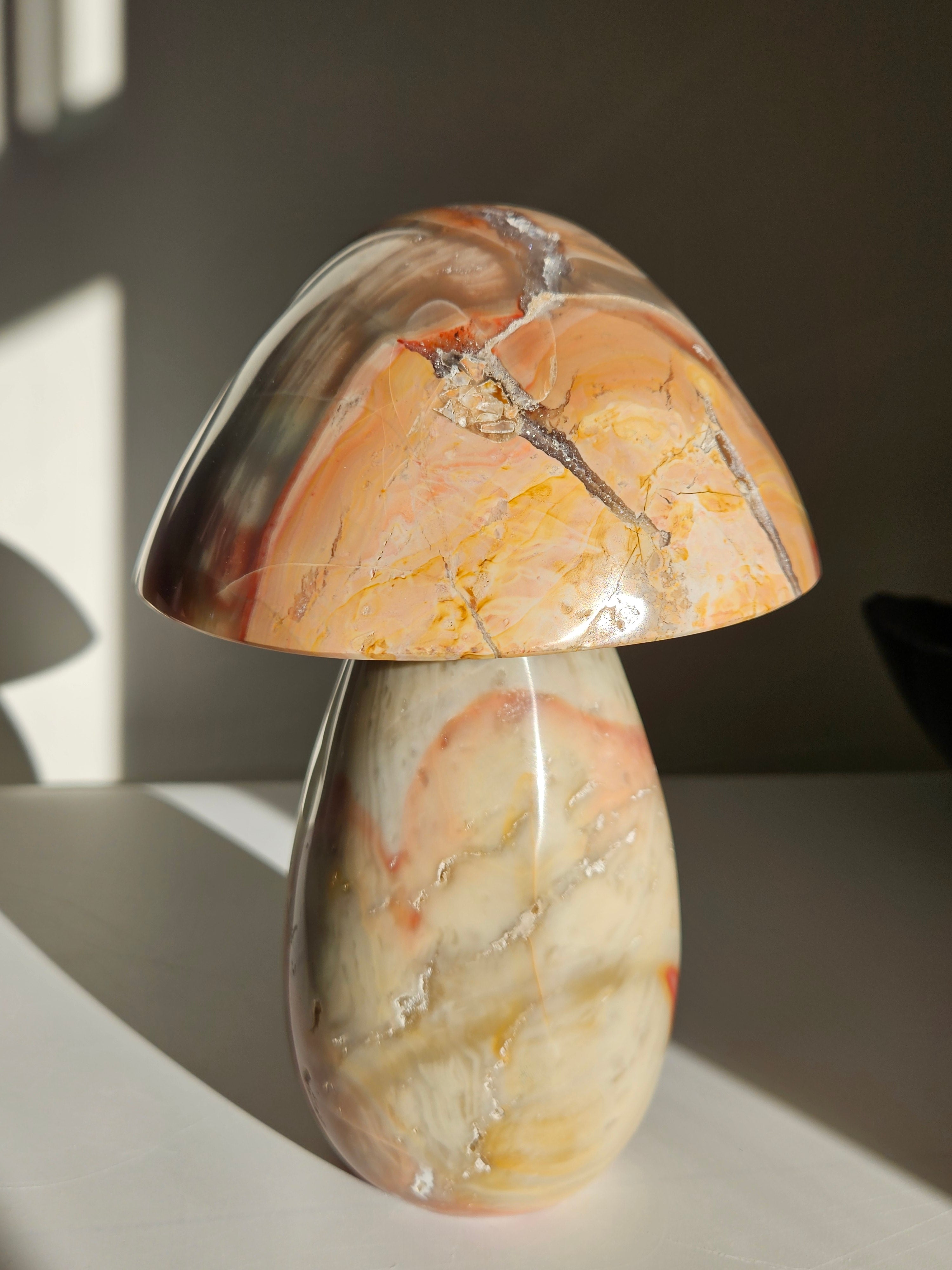 Polychrome Jasper Statement Mushroom 002