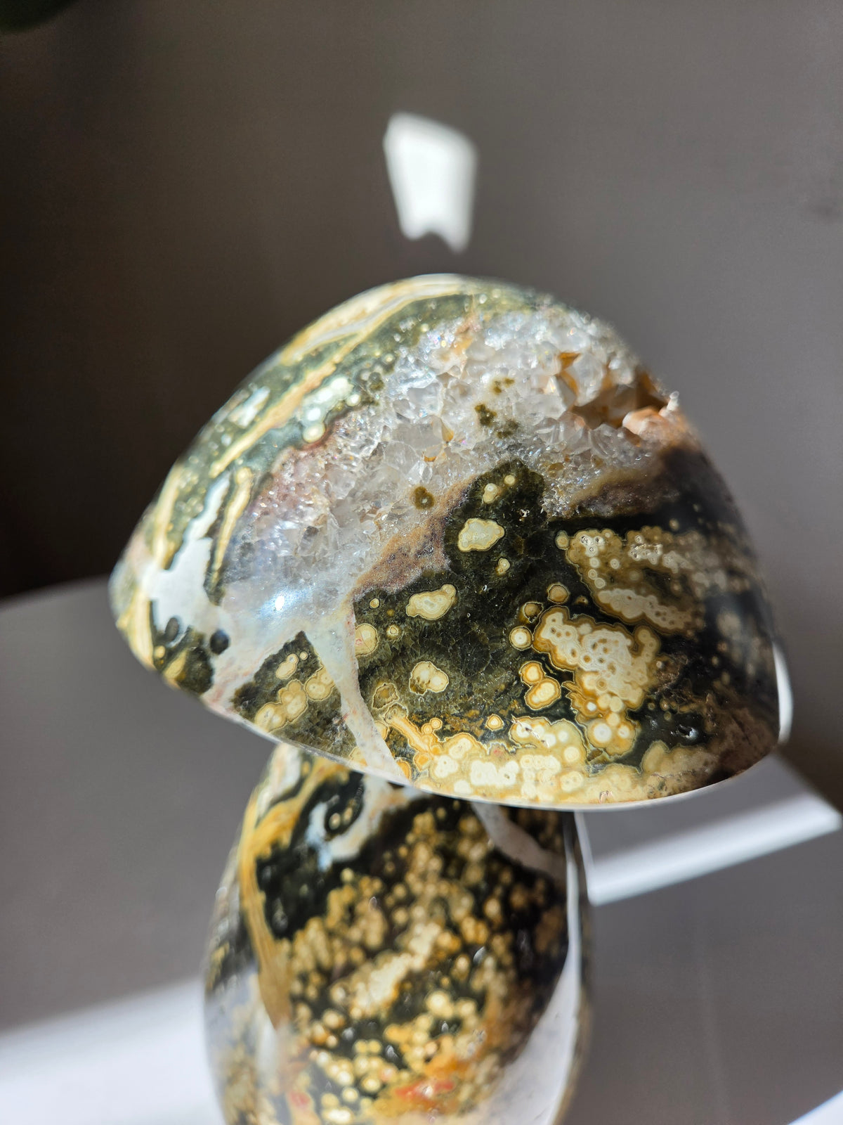 XL Sea Jasper Mushroom 002