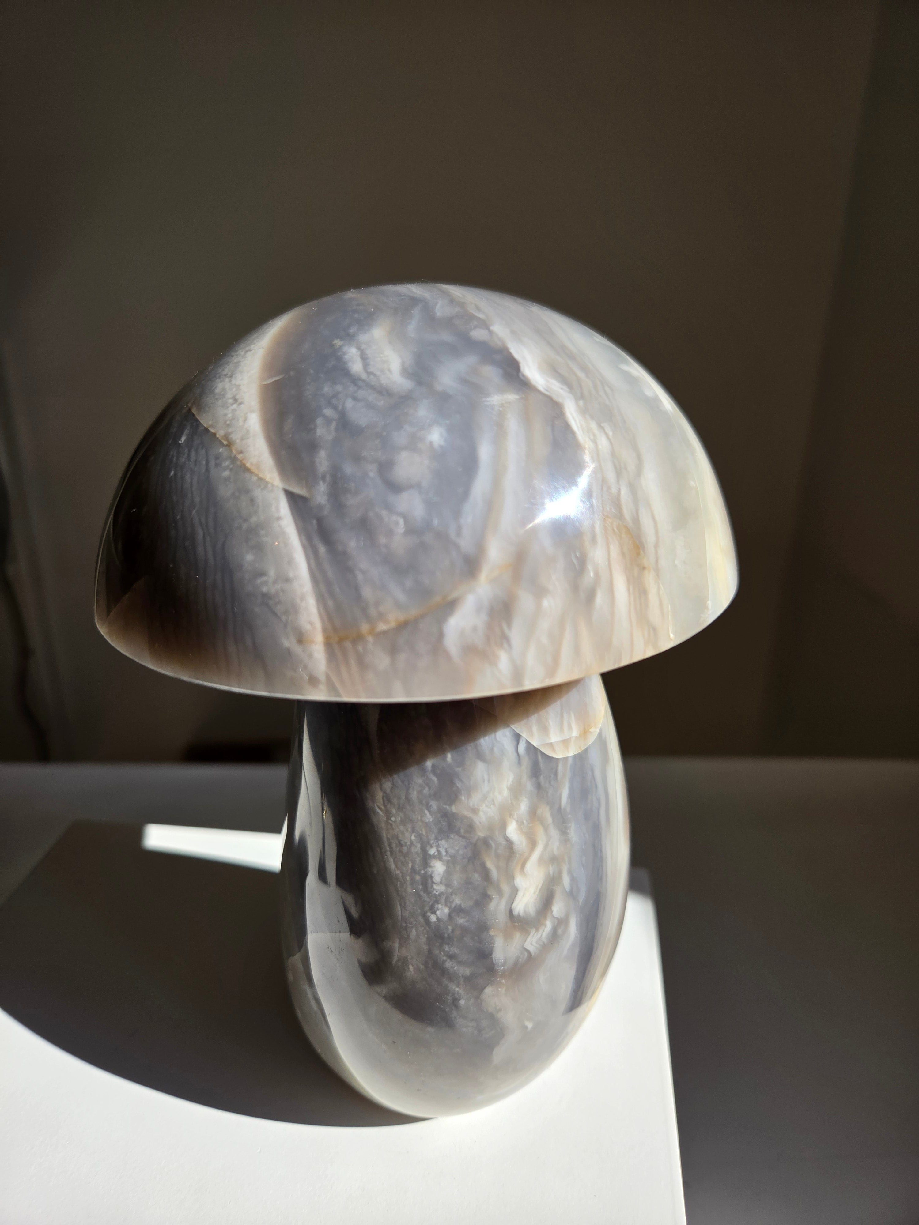 Sea Jasper Mushroom 014