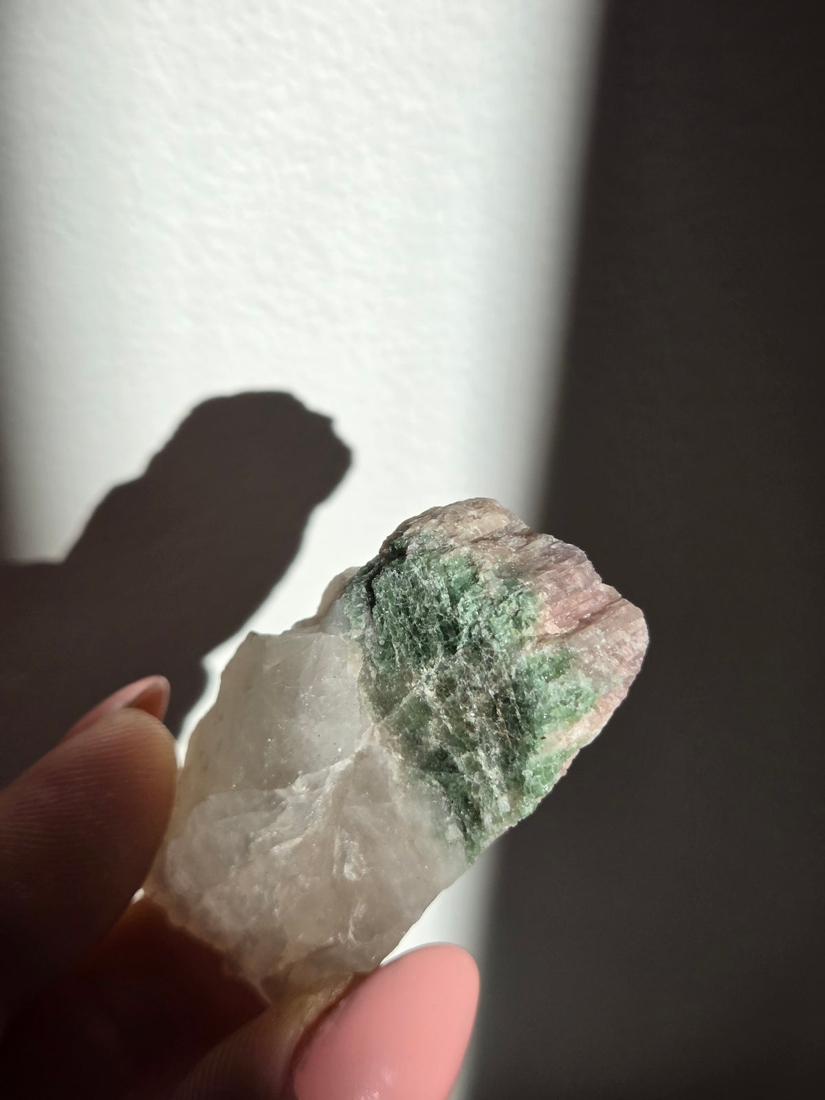 Tourmaline x Quartz Specimen 012