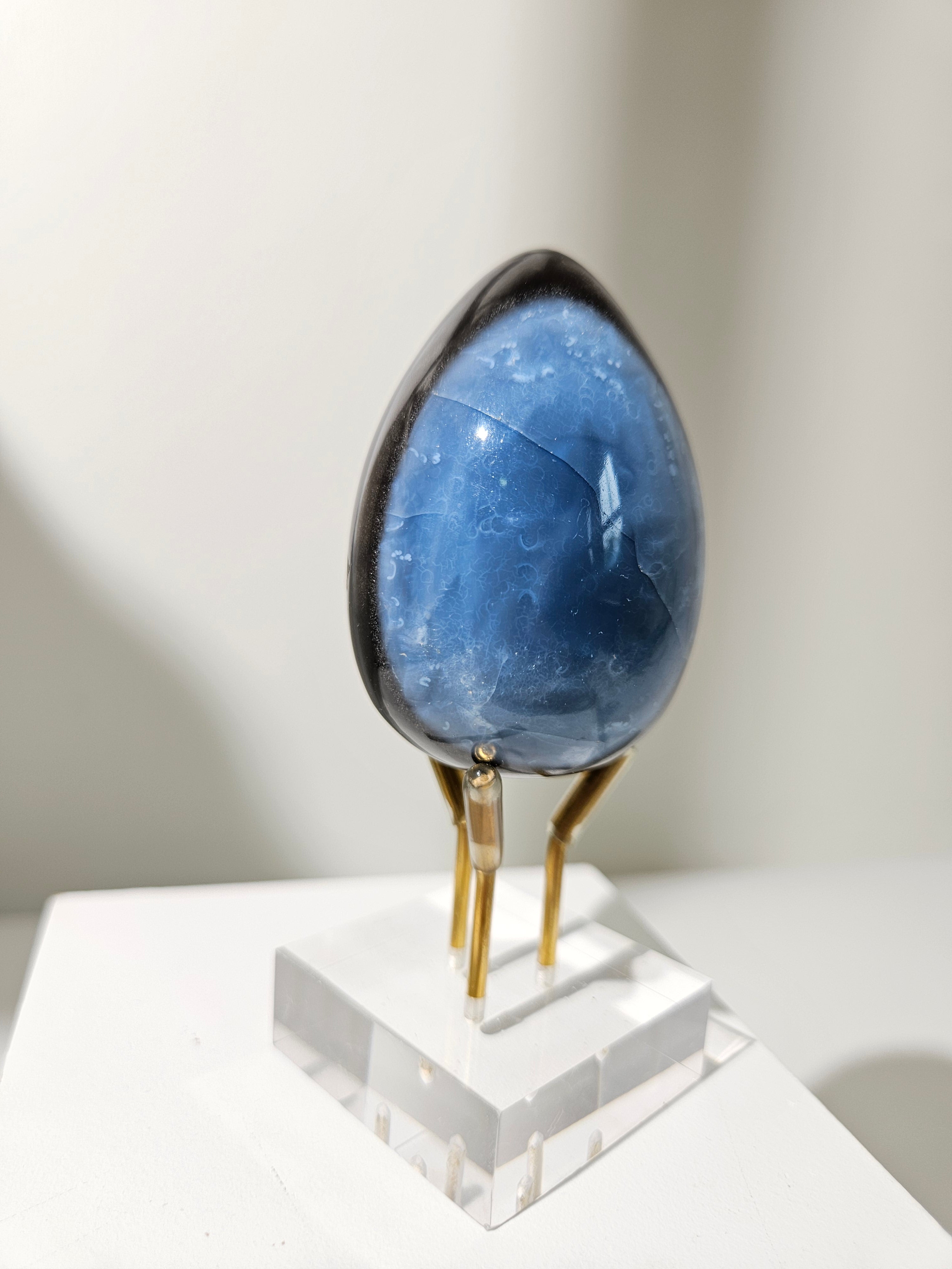 Owyhee Blue Opal Egg 008
