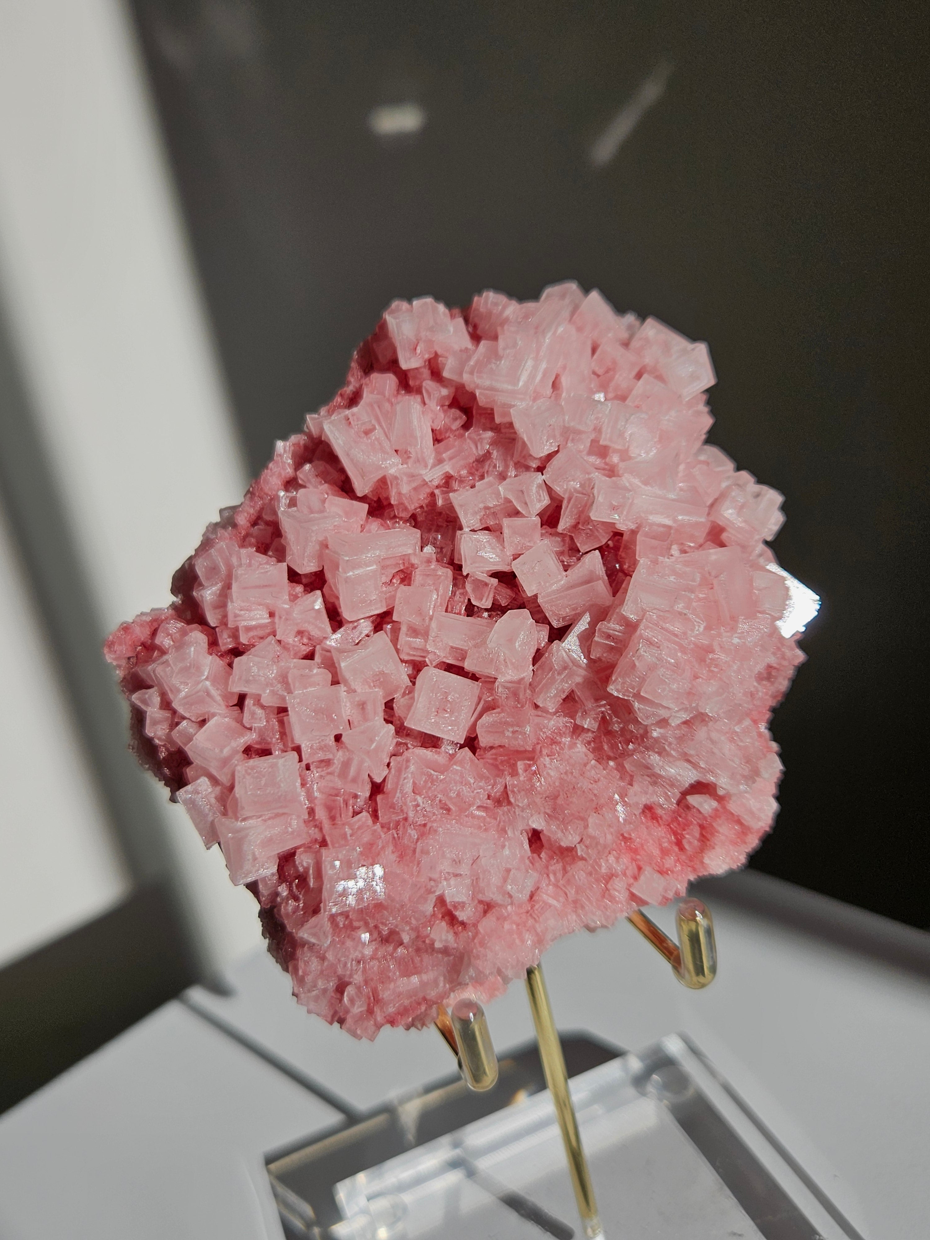 Pink Halite 007