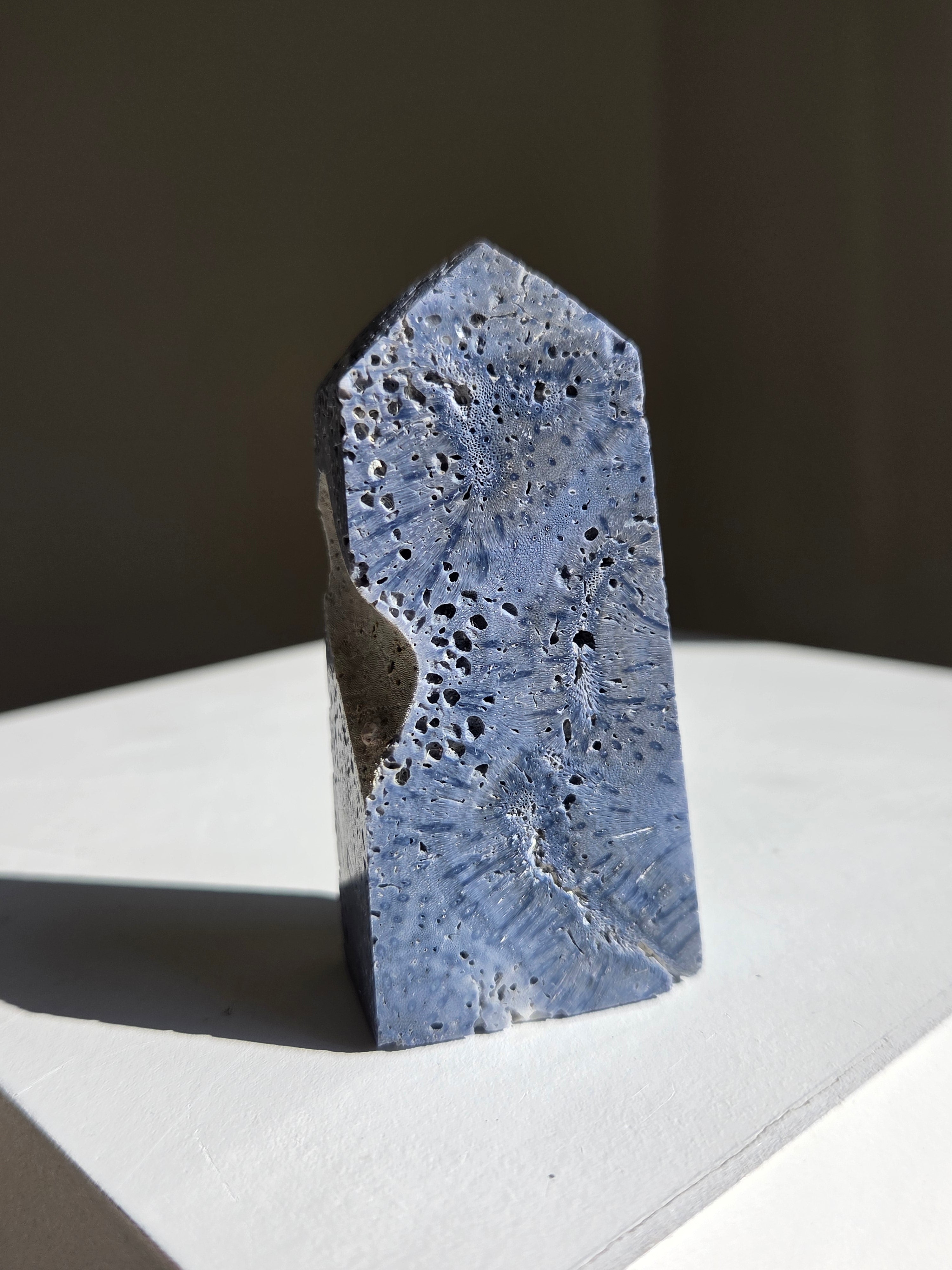 Blue Coral Tower 003