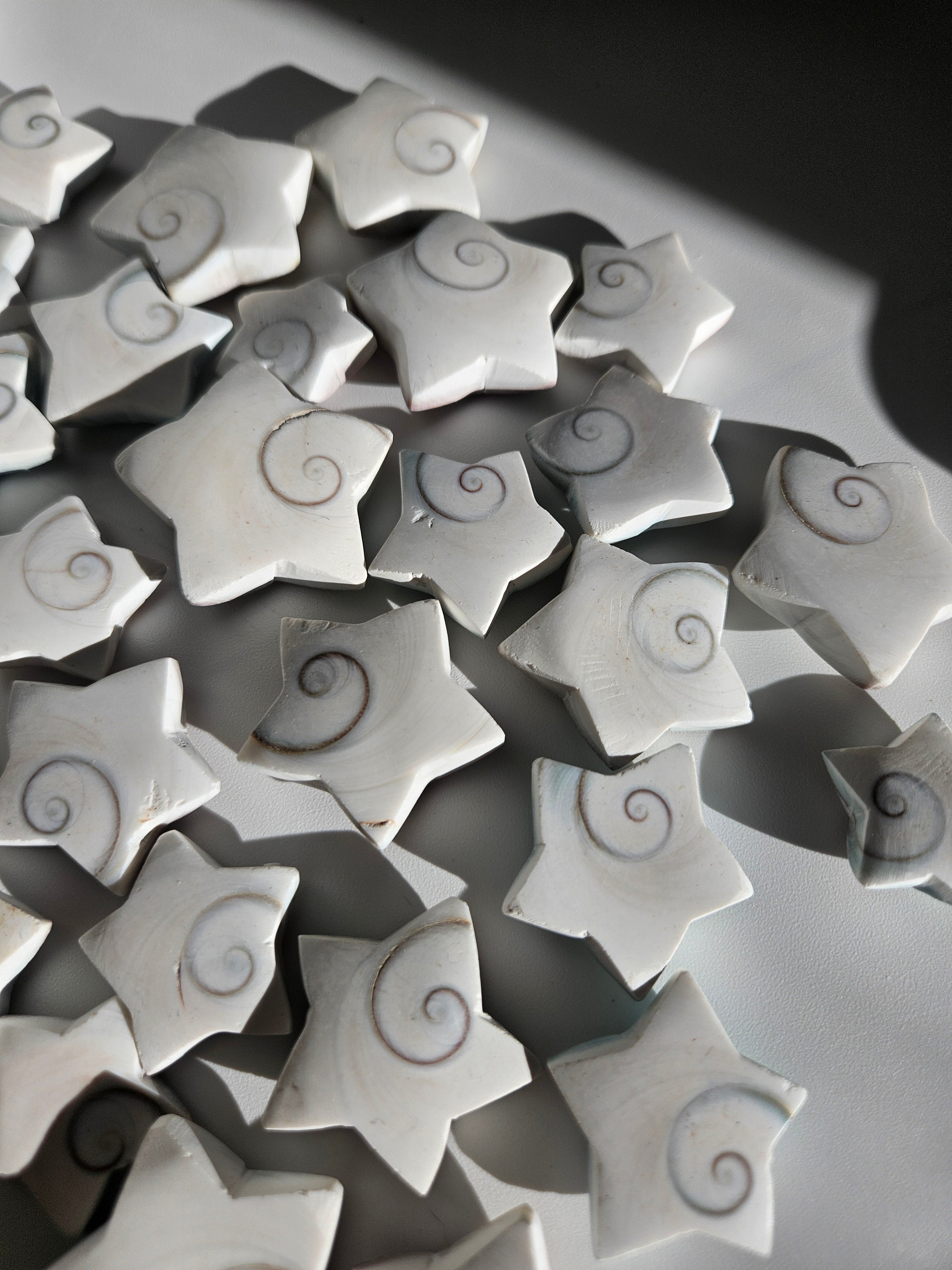 Shiva Shell Stars | set of three