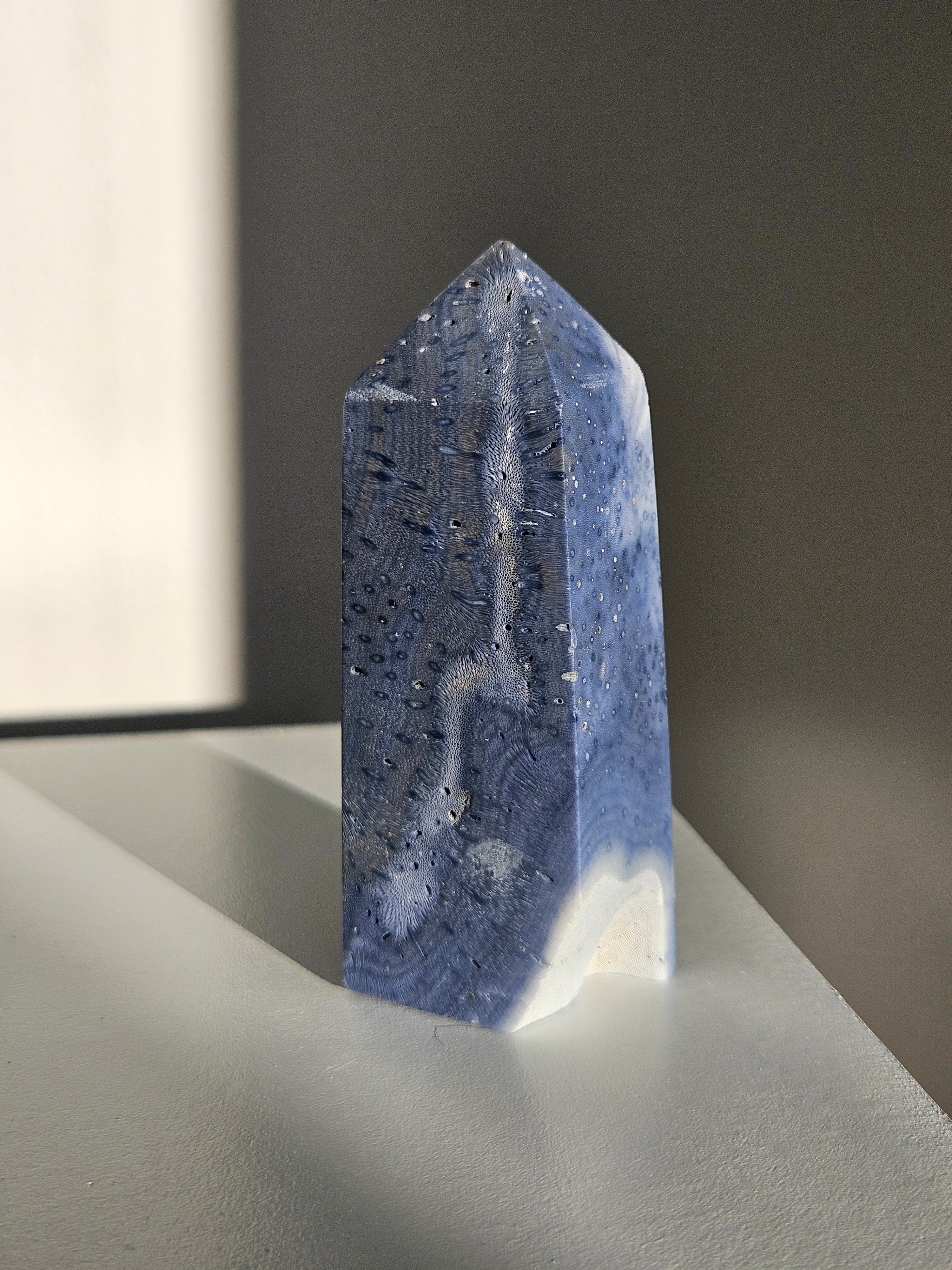 Blue Coral Tower 002