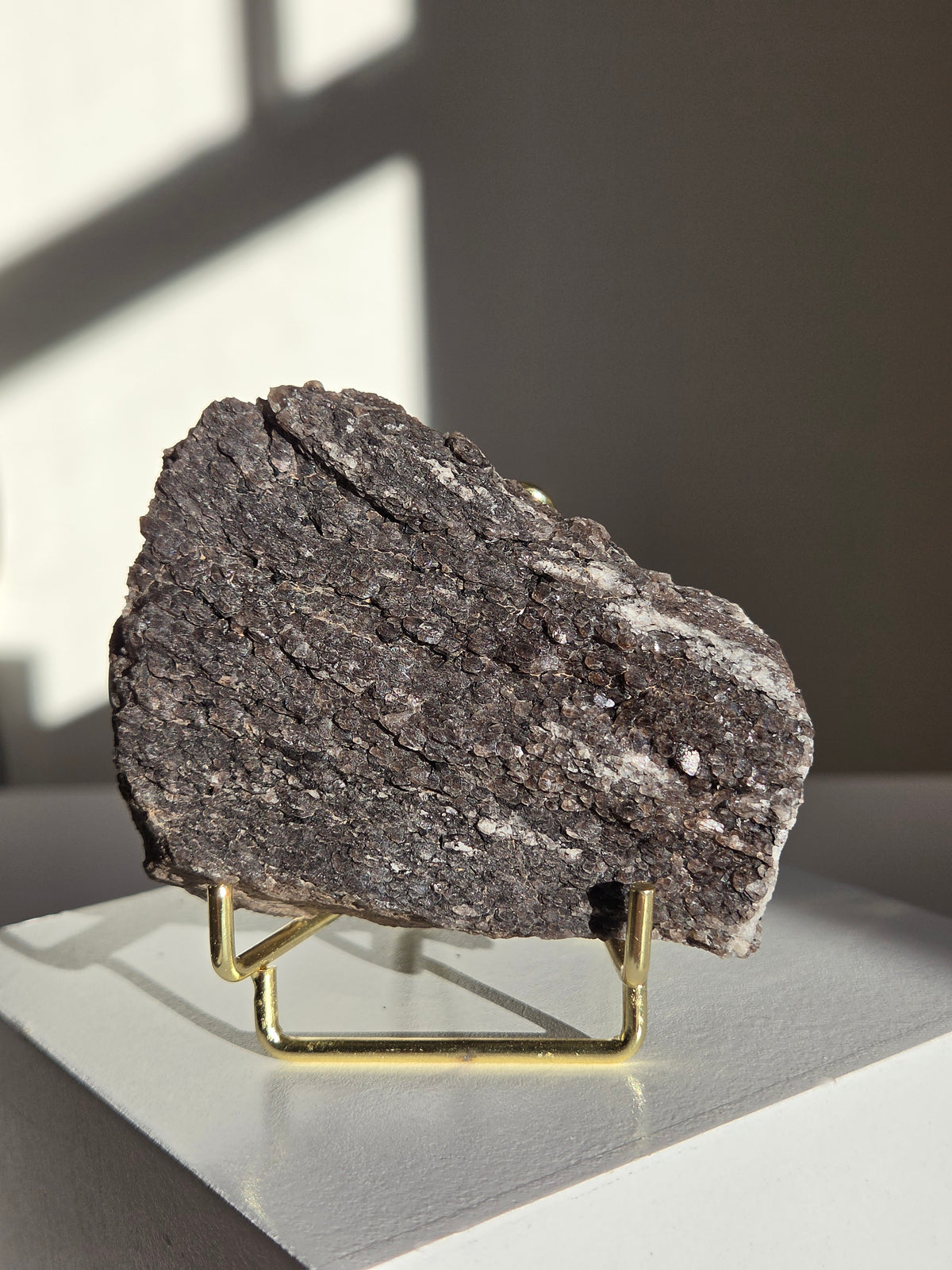 Smoky Quartz on Fossilized Wood 003