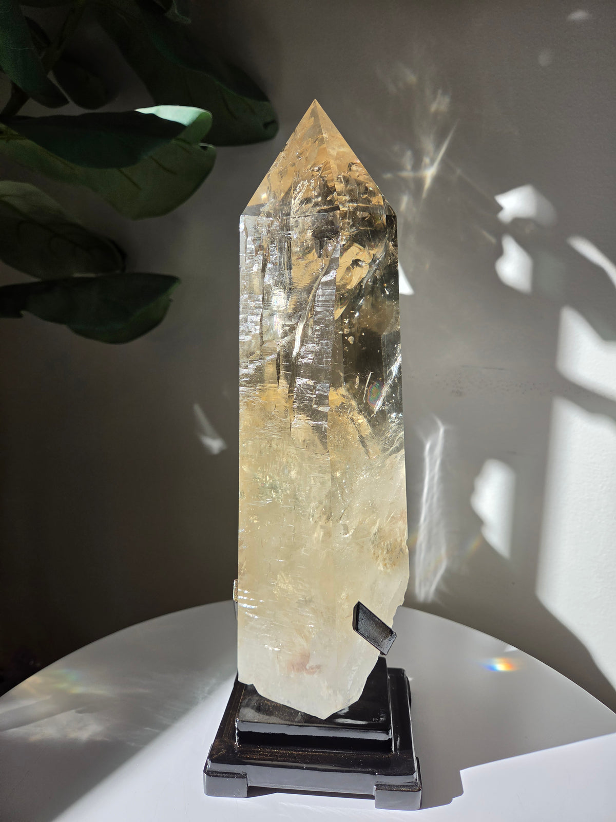 Semipolished Citrine Lemurian Statement
