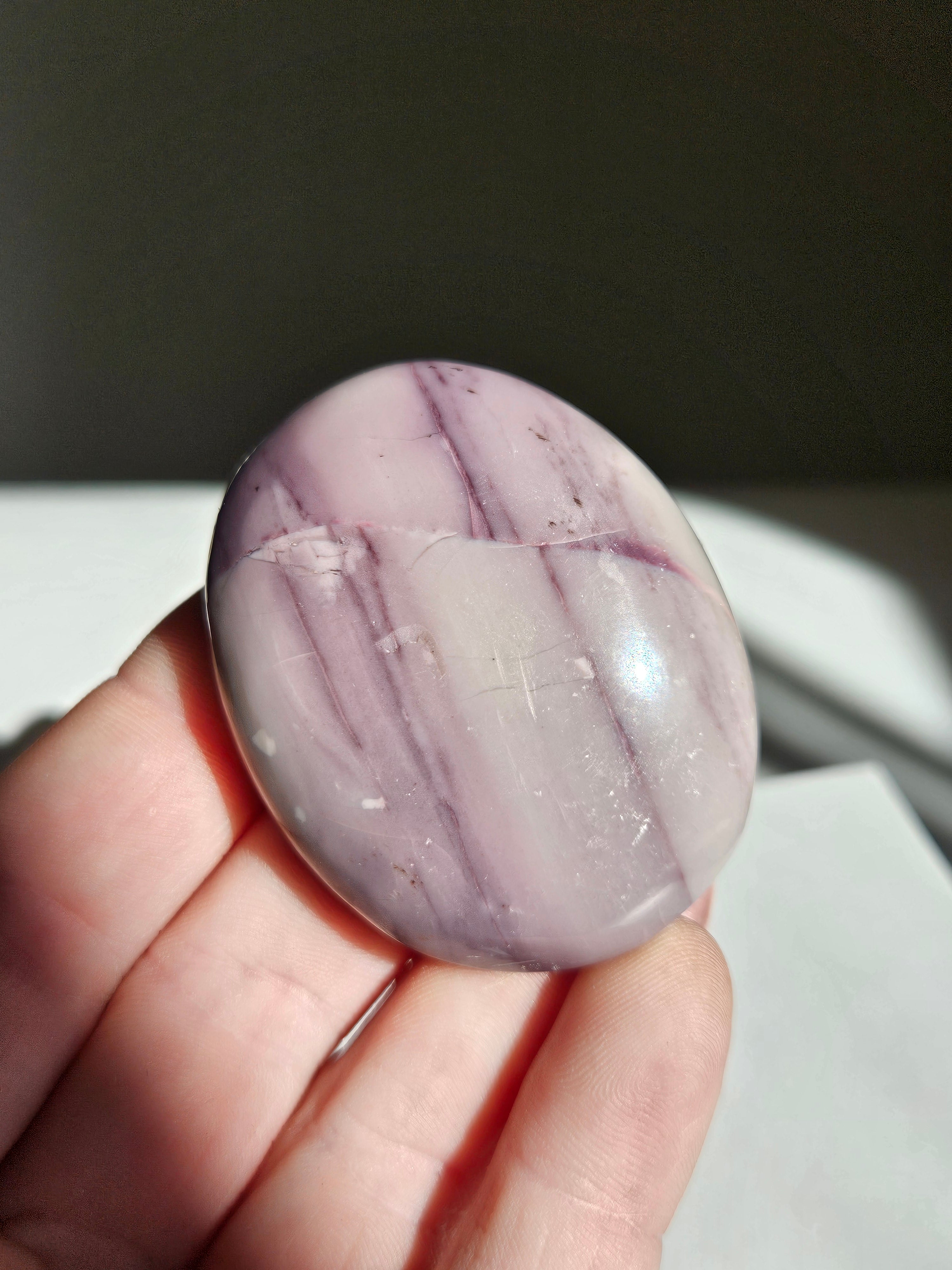 Hyacinth jasper palm 006