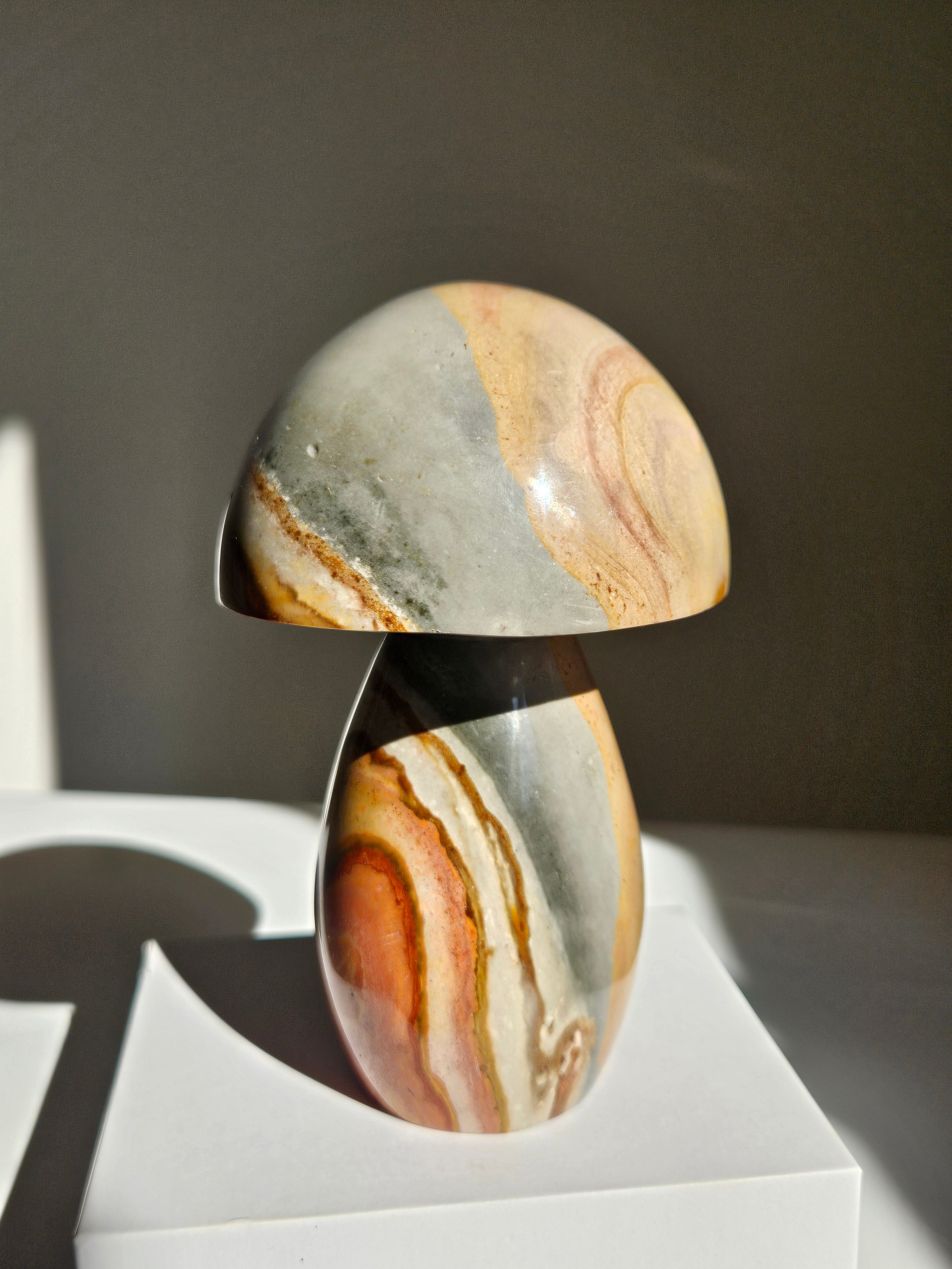 Polychrome Jasper Mushroom 007