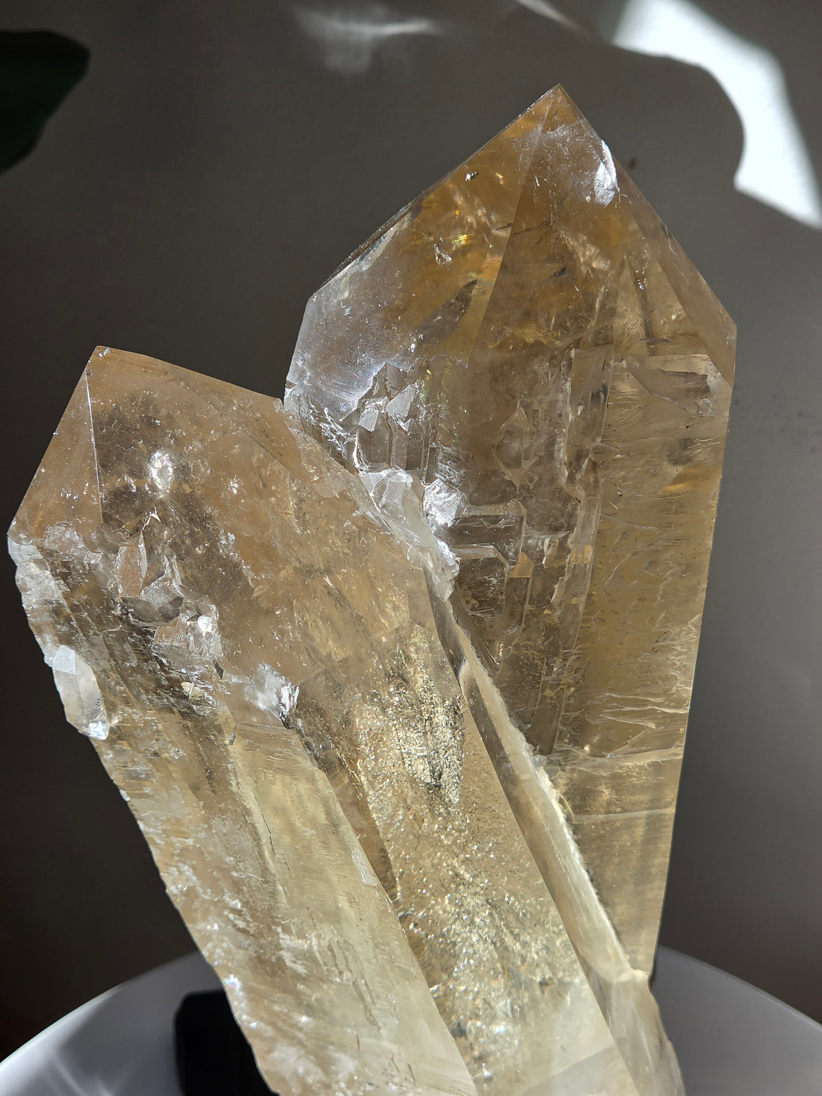 Semipolished Citrine Lemurian Twin Statement