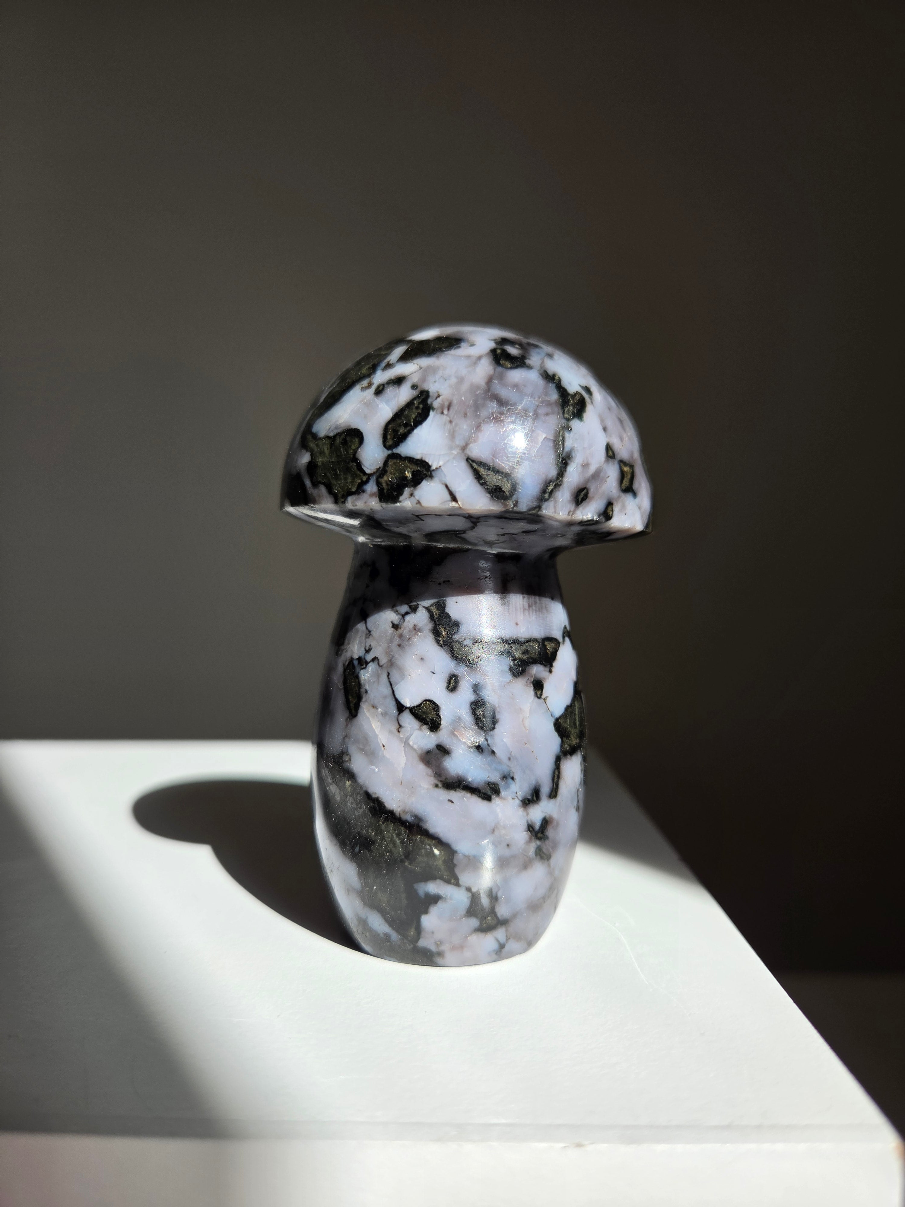 Indigo Gabbro Mushroom 003
