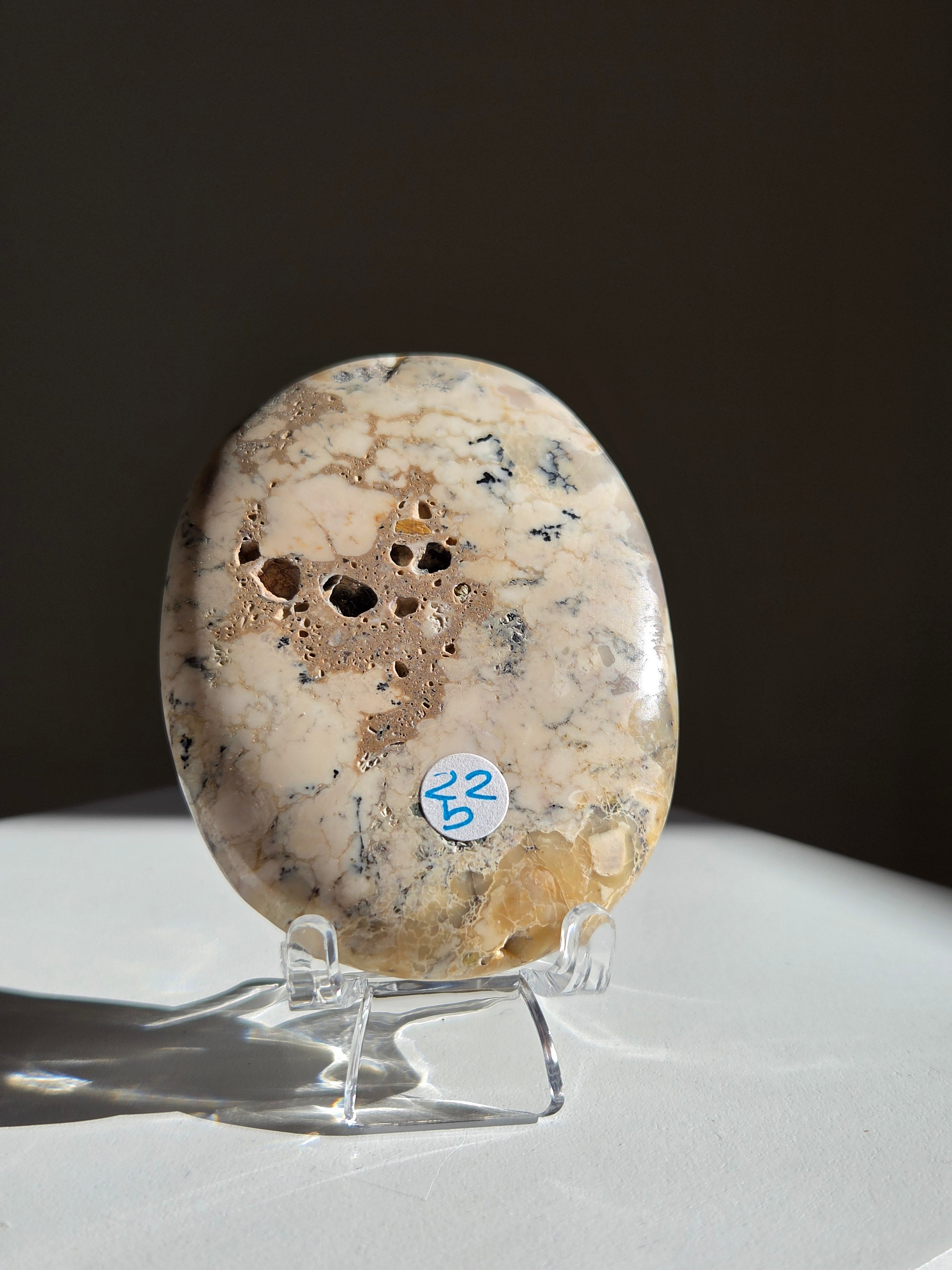 Dendritic Opal Palm 001