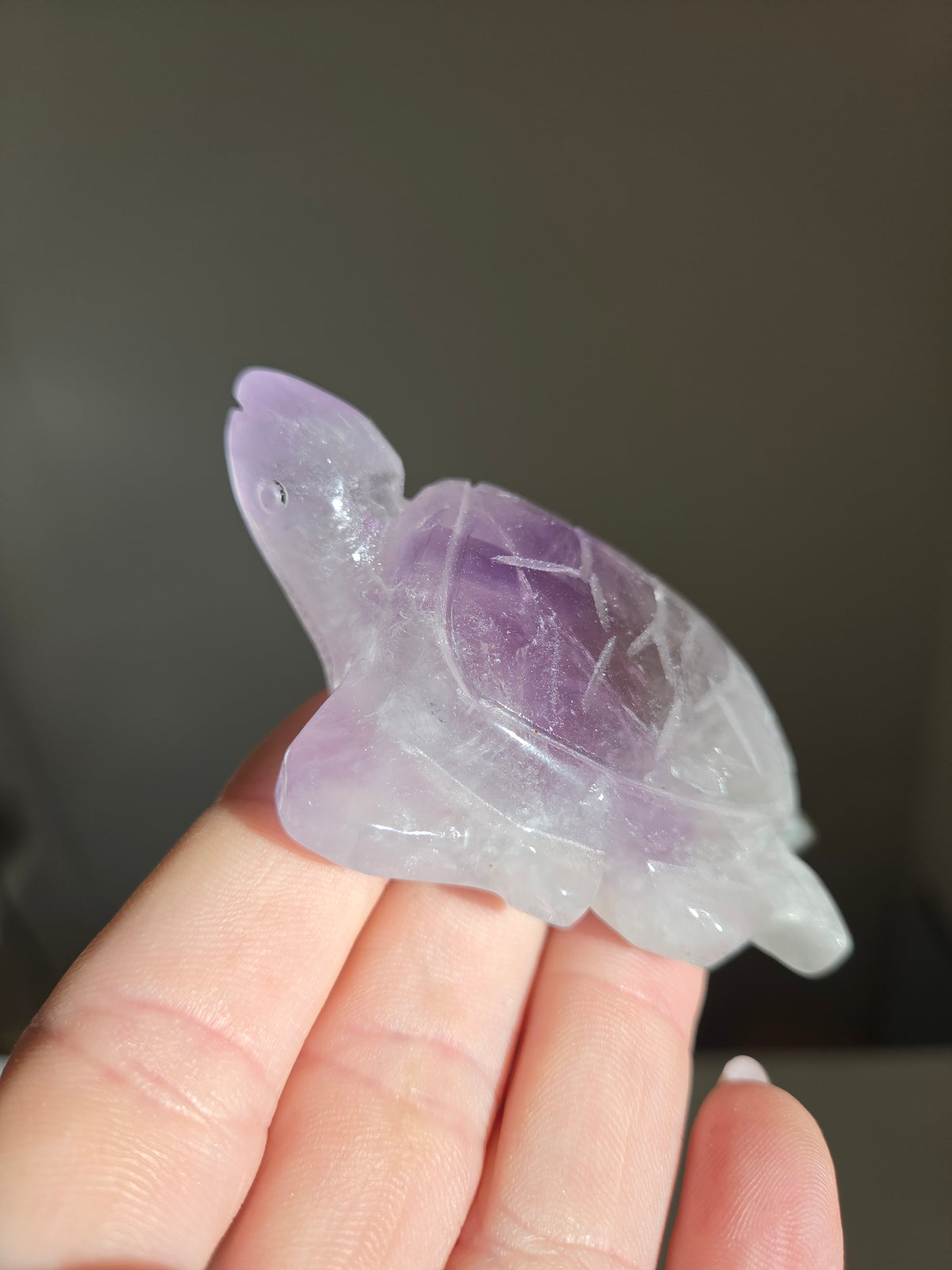 Amethyst Turtle 006