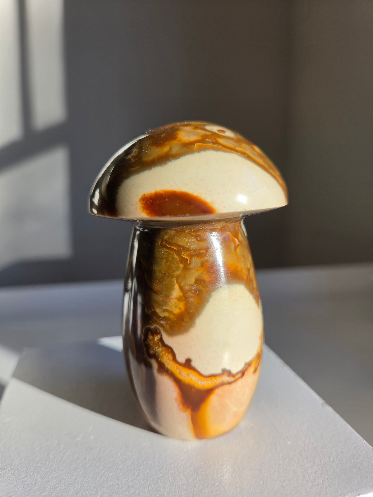 Polychrome Jasper Mushroom 003