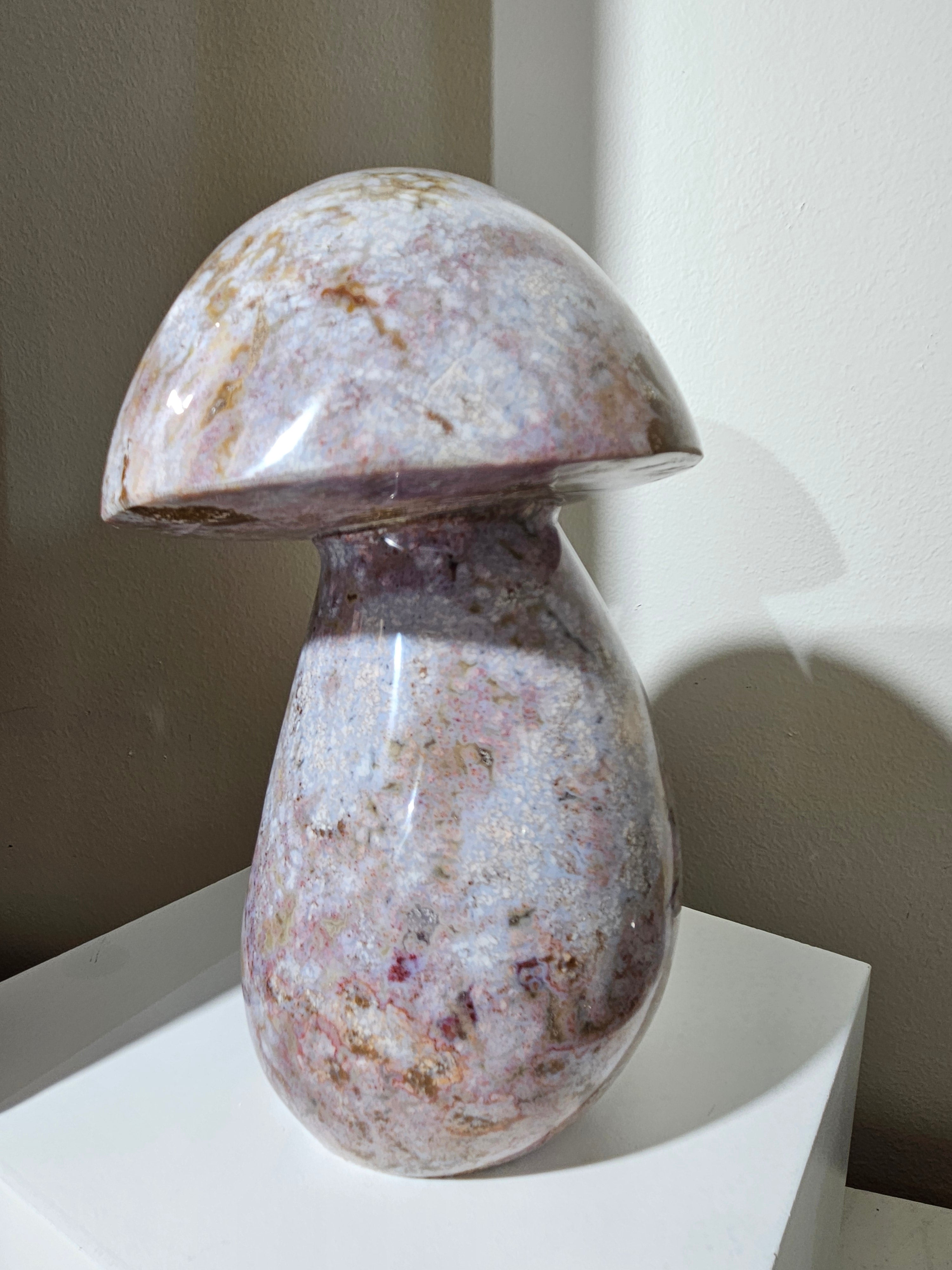 Sea Jasper Mushroom 013