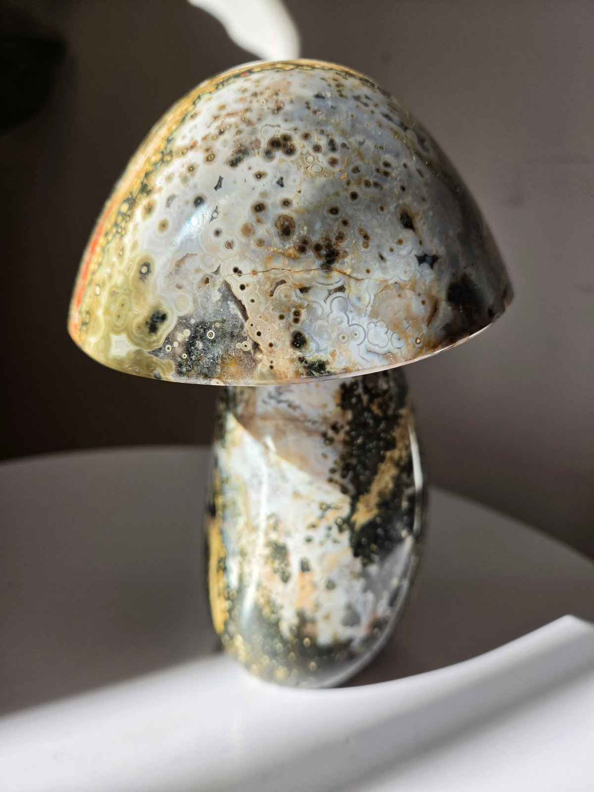 XL Sea Jasper Mushroom 002