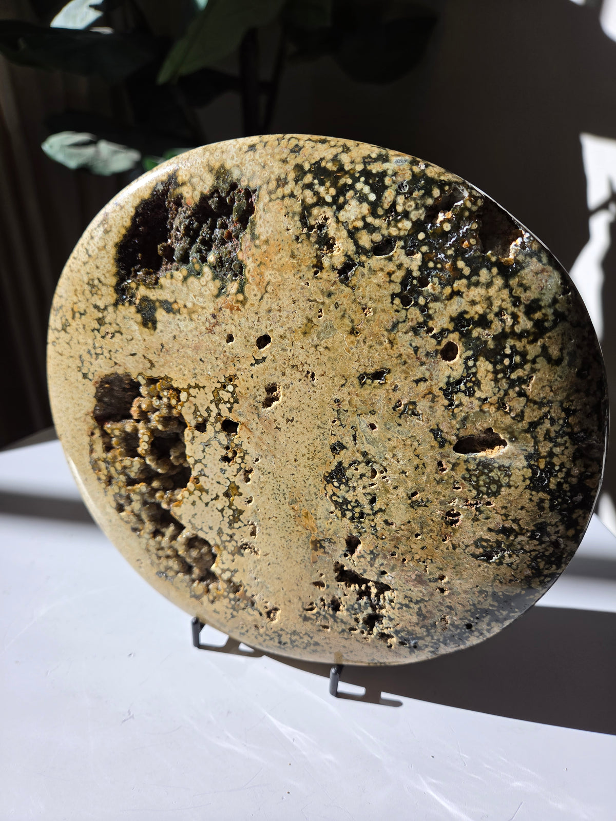 Sea Jasper Slab 013
