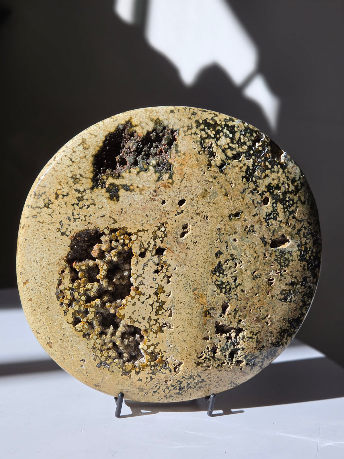 Sea Jasper Slab 013