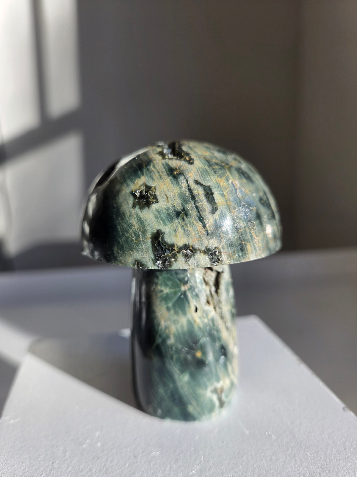 Sea Jasper Mushroom 001