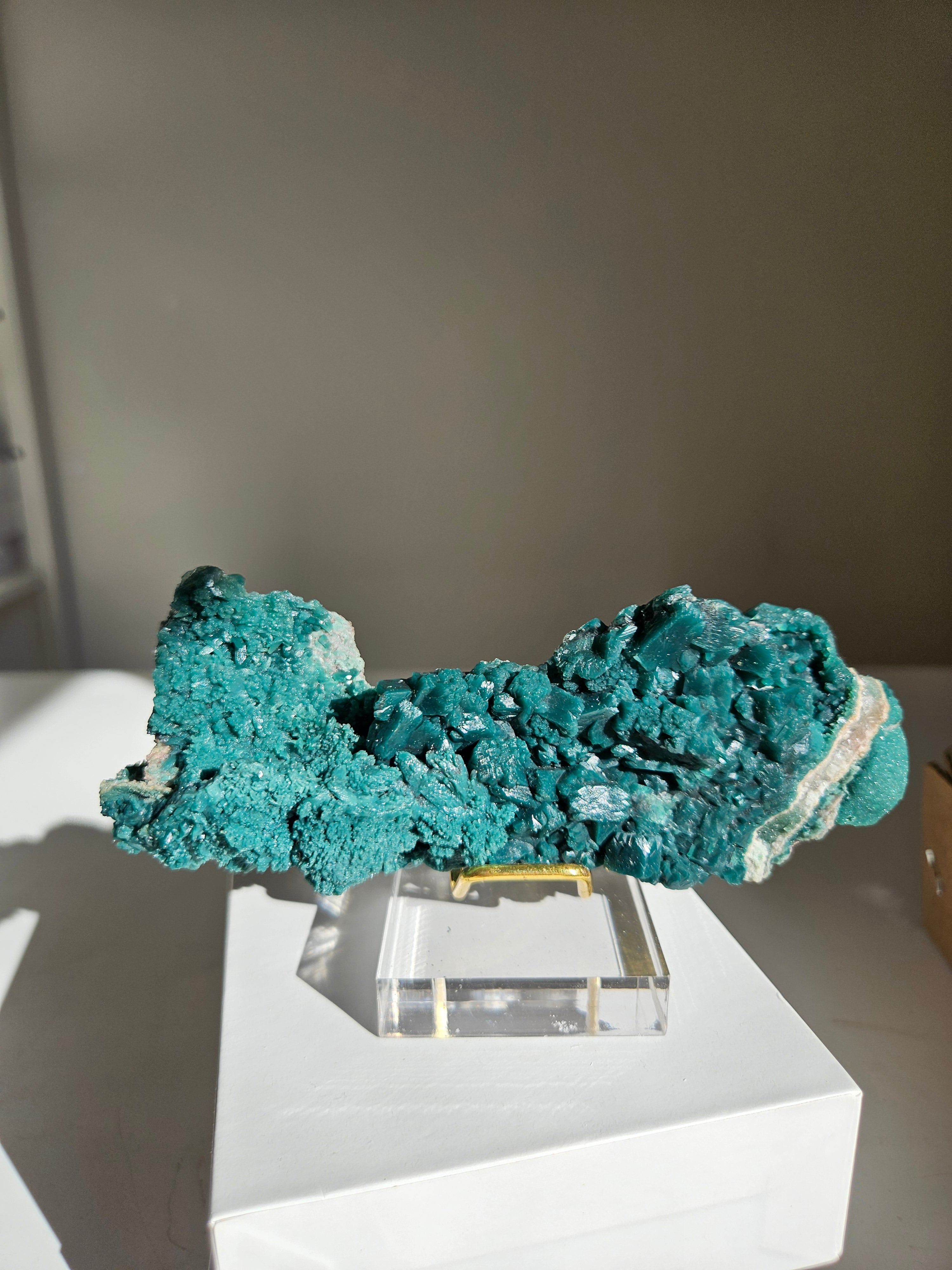 Marshy Green Apophyllite 012