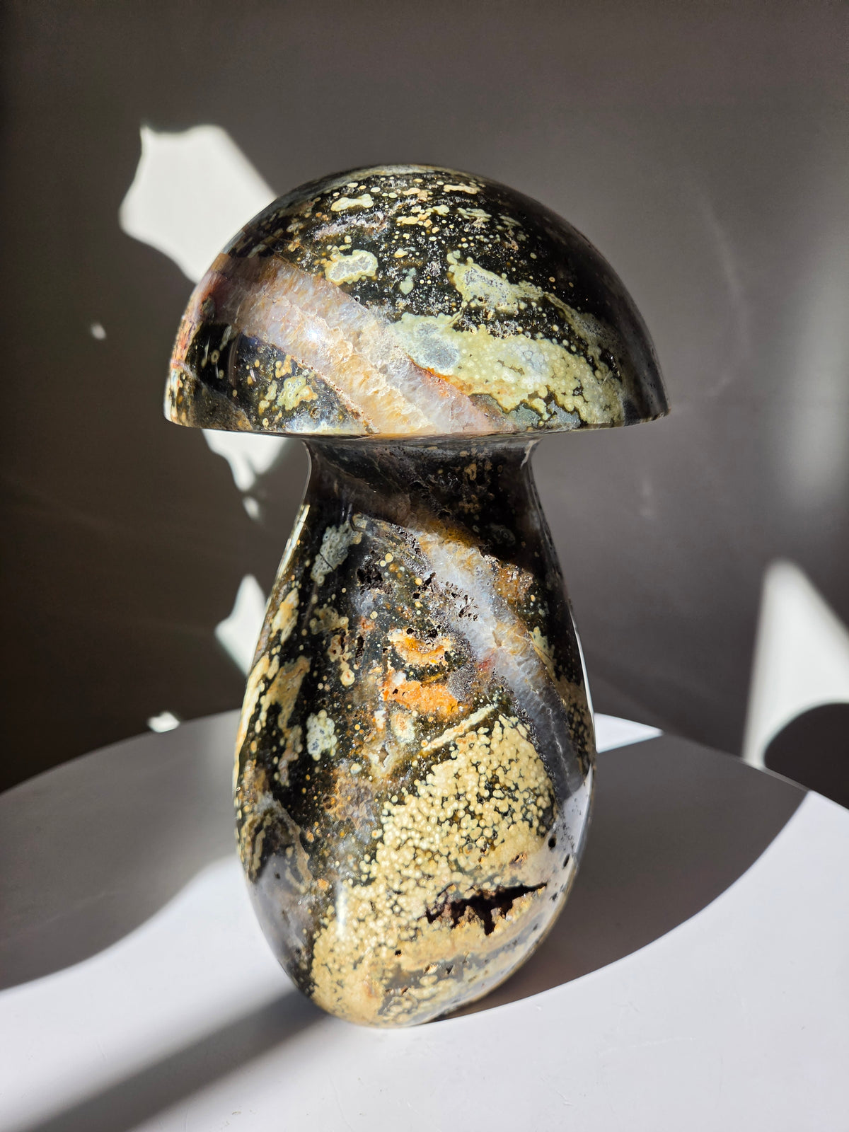 XL Sea Jasper Mushroom 003