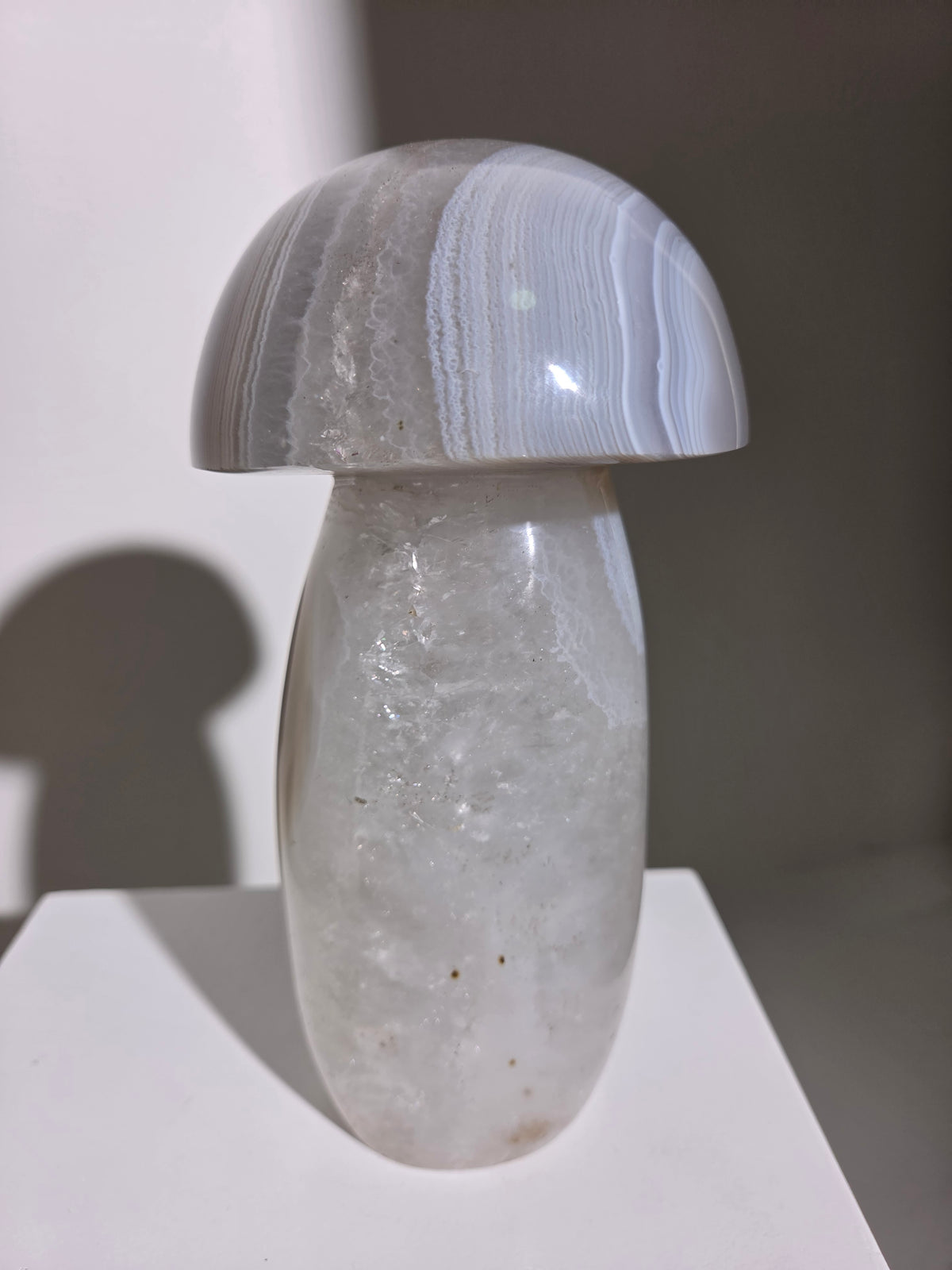 Banded Agate Mushroom