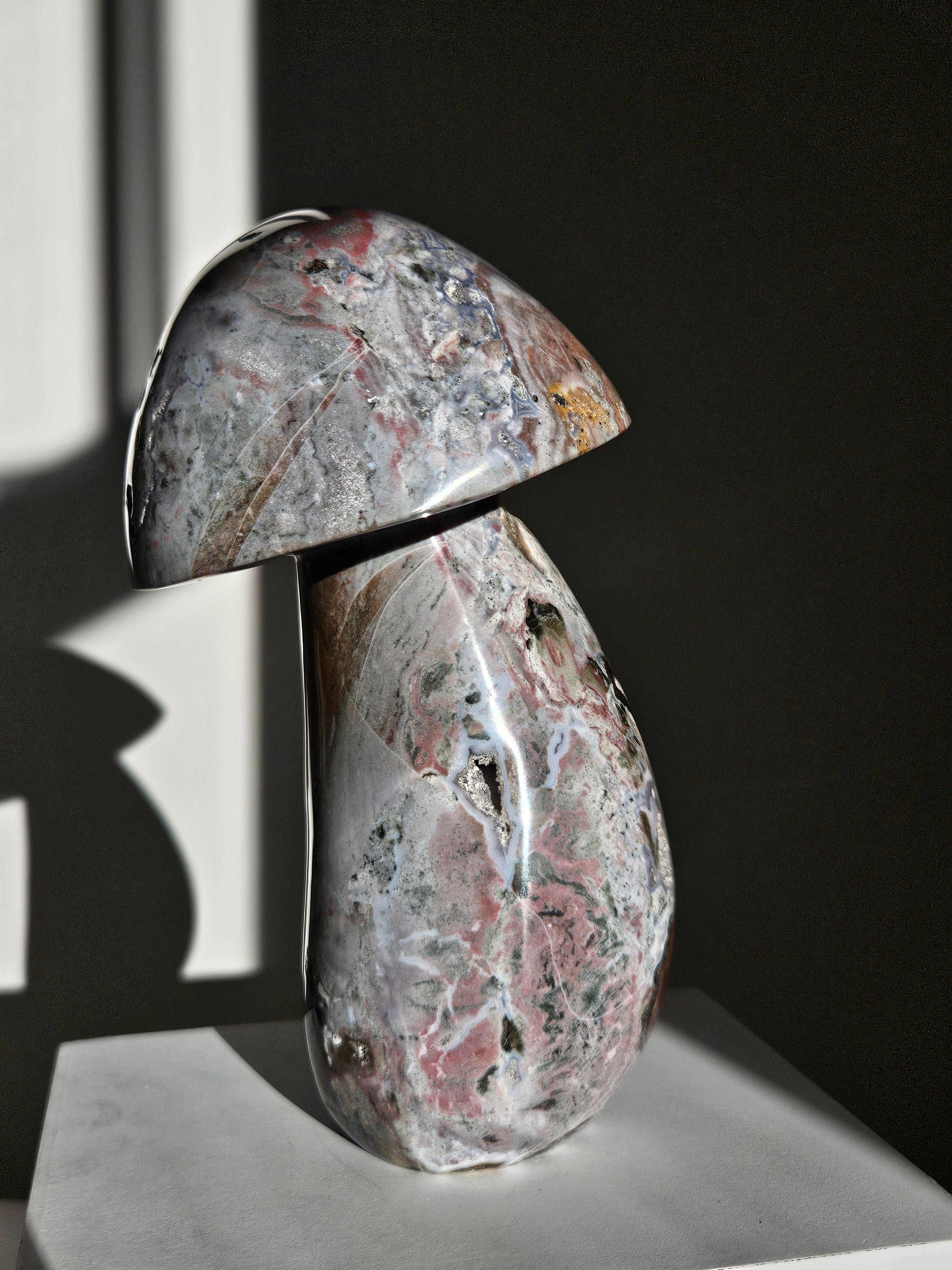 Sea Jasper Mushroom 011