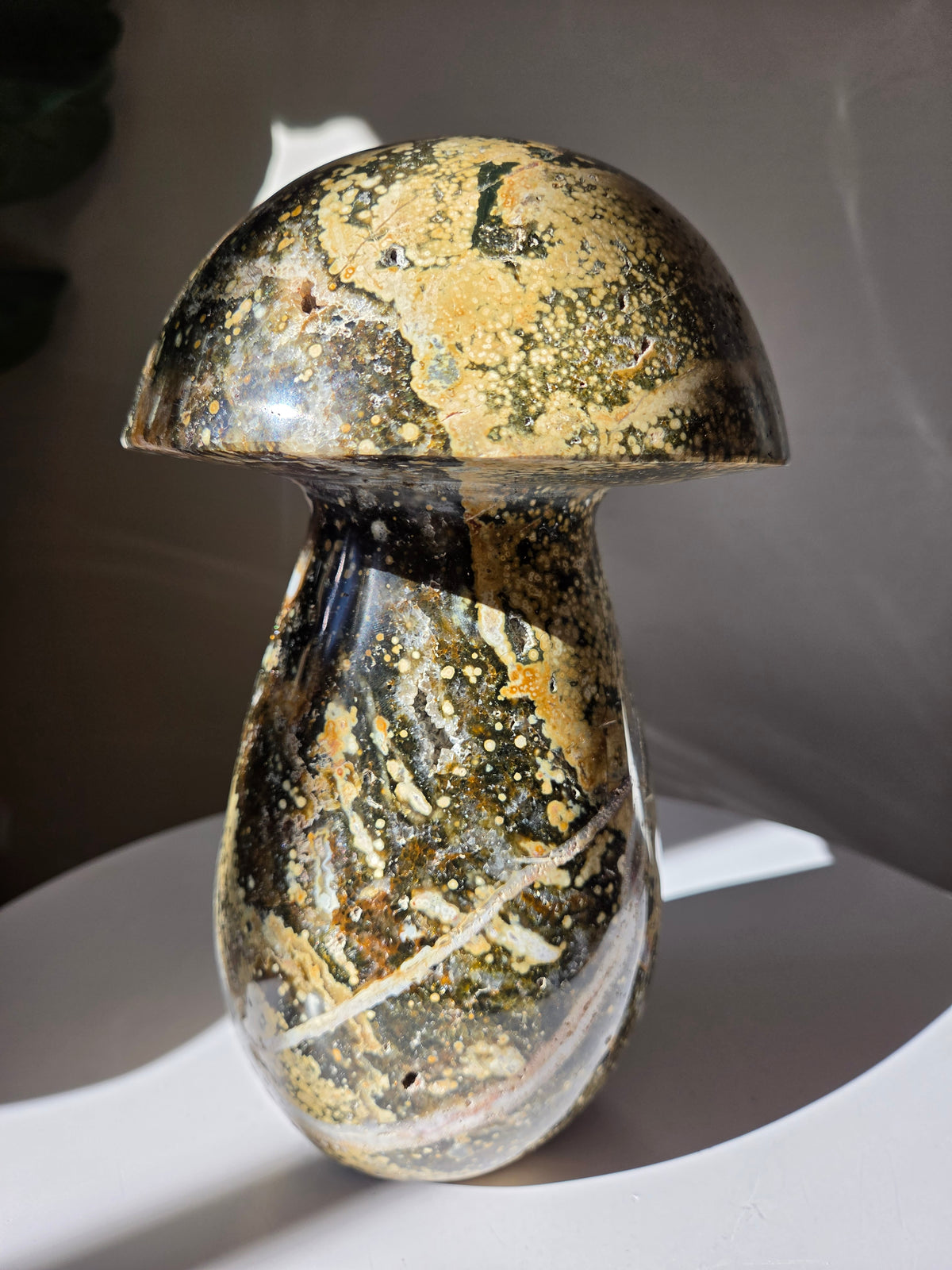XL Sea Jasper Mushroom 003