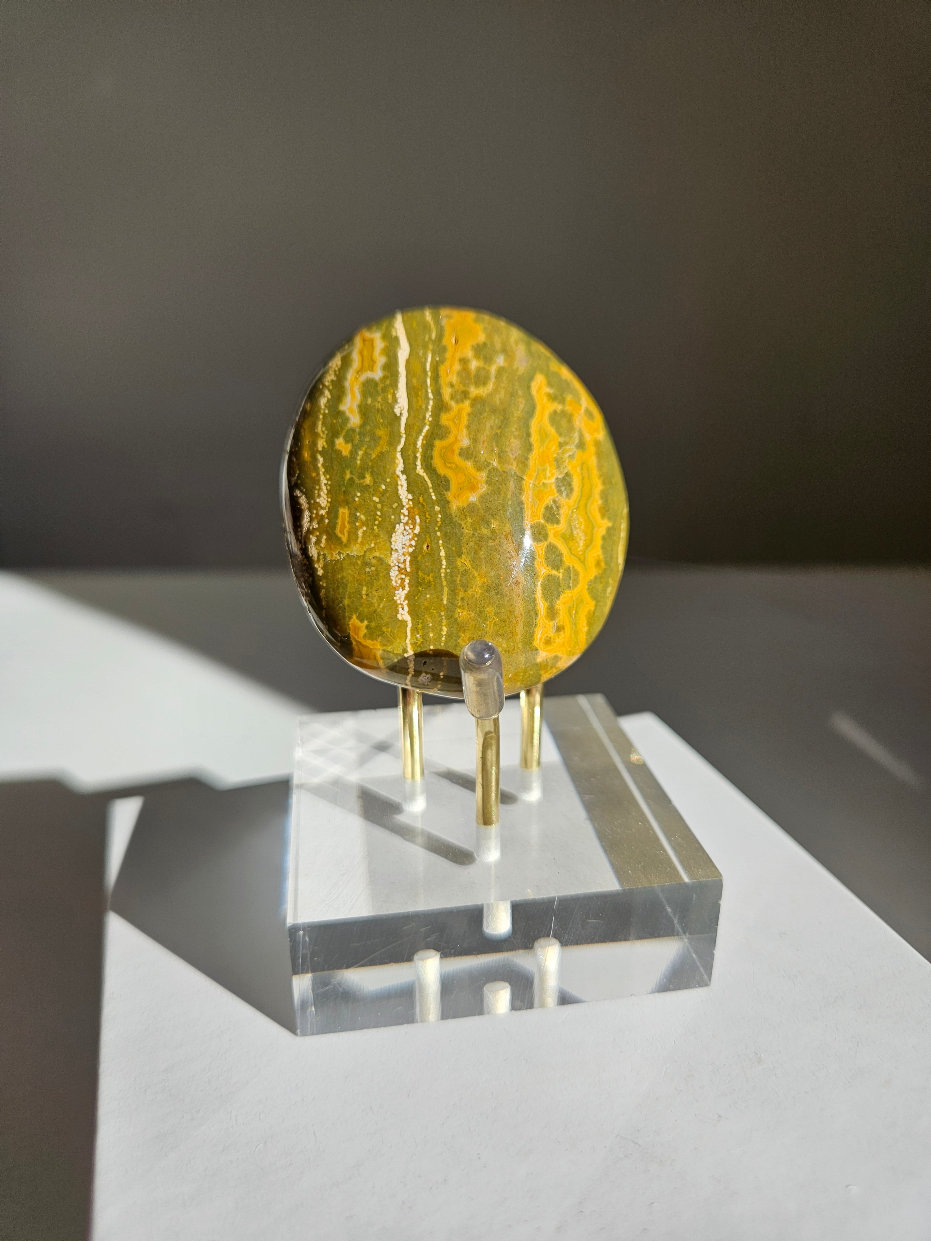 Sea Jasper Palmstone 032