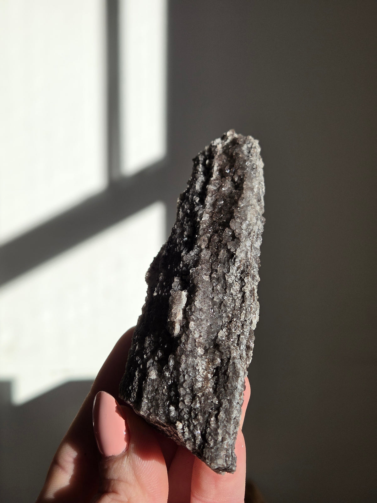 Smoky Quartz on Fossilized Wood 007