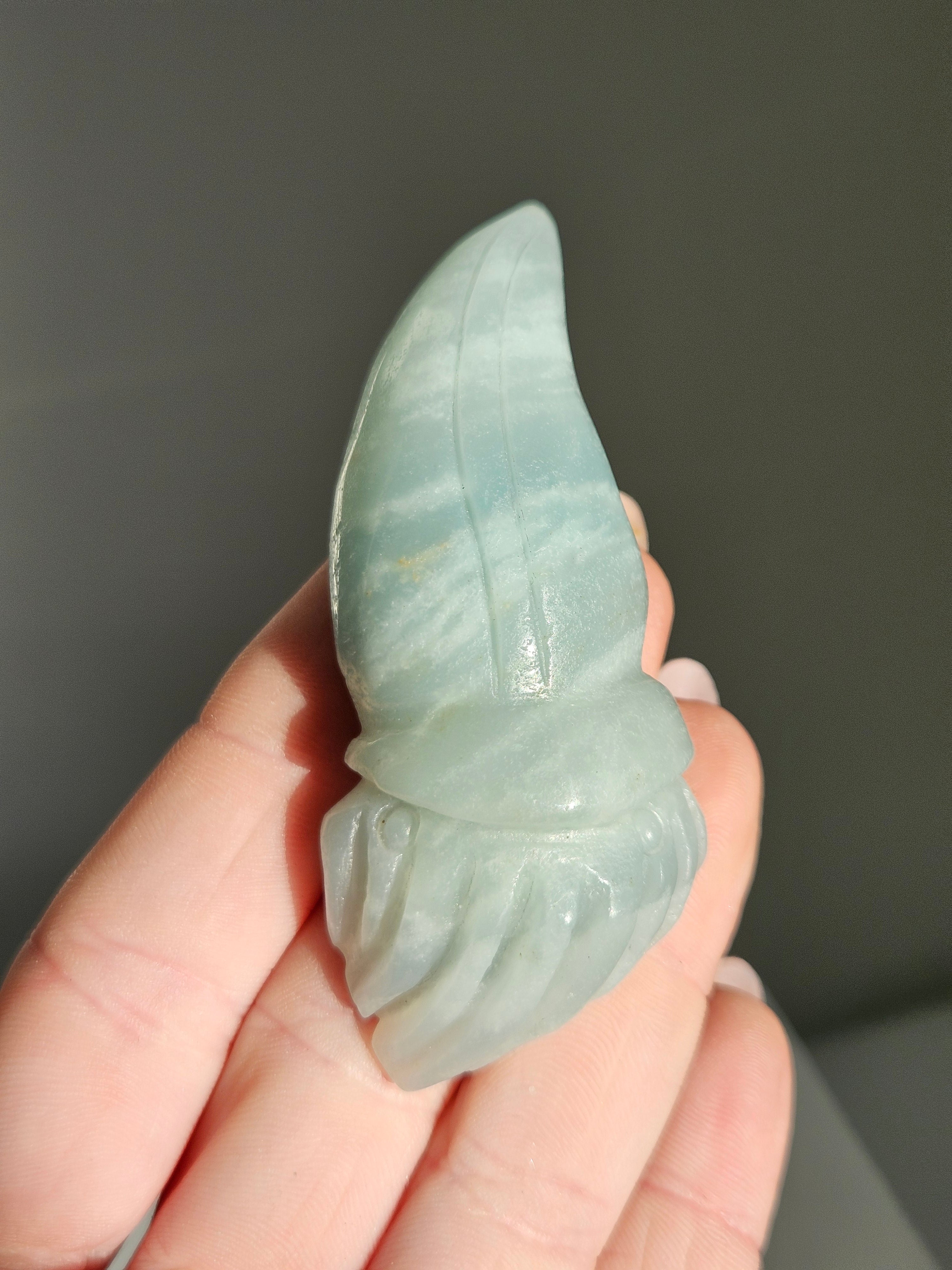 Caribbean Calcite Sea Carving 002