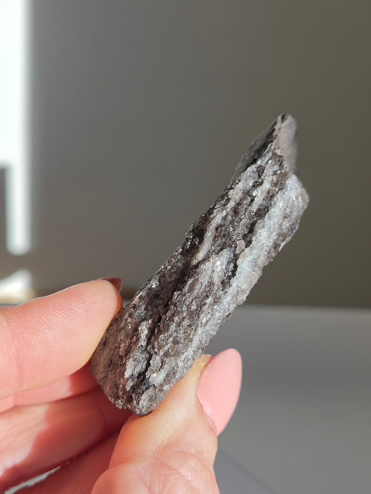 Smoky Quartz on Fossilized Wood 001
