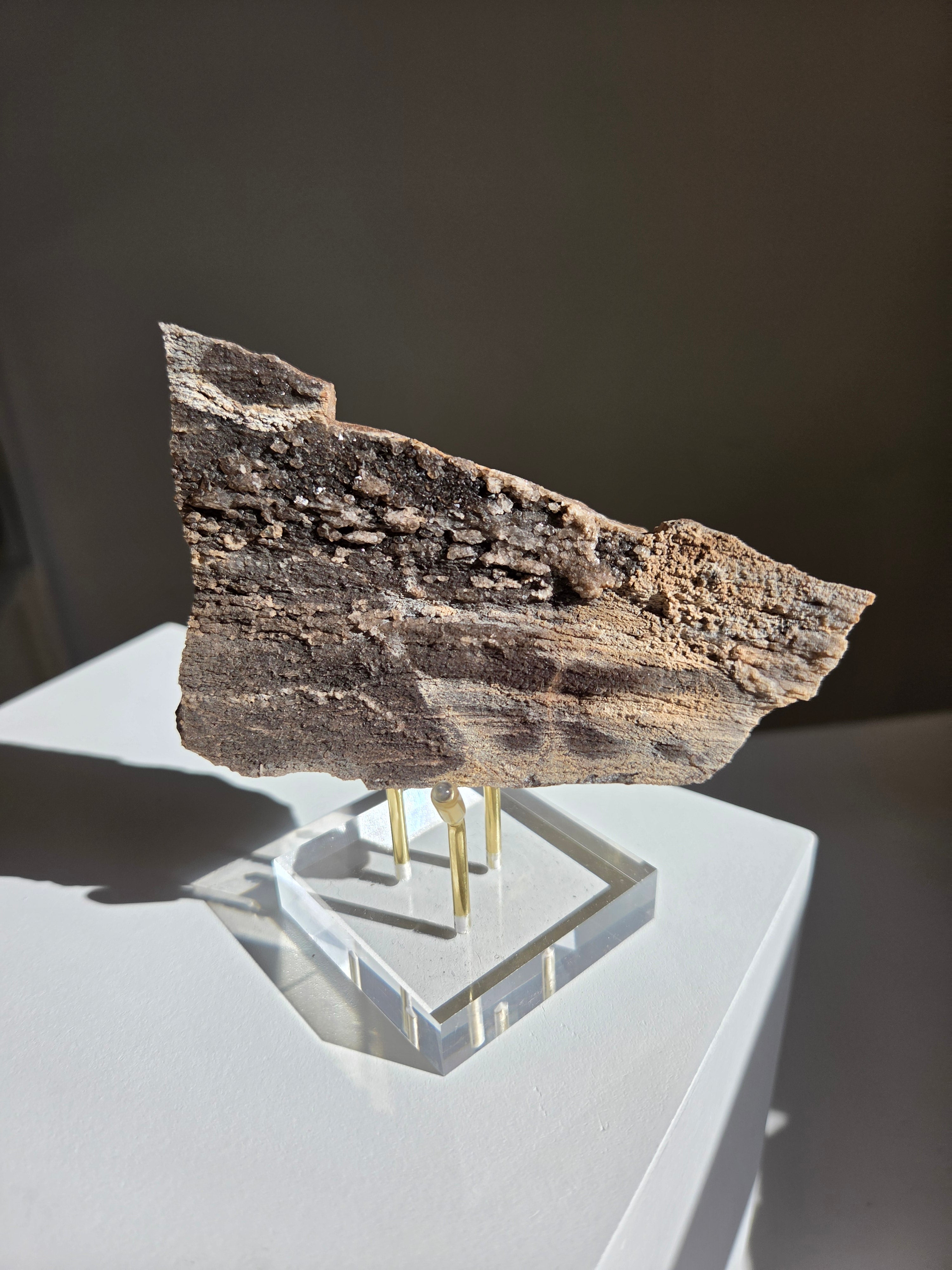 Permineralized Wood x Smoky Quartz 002
