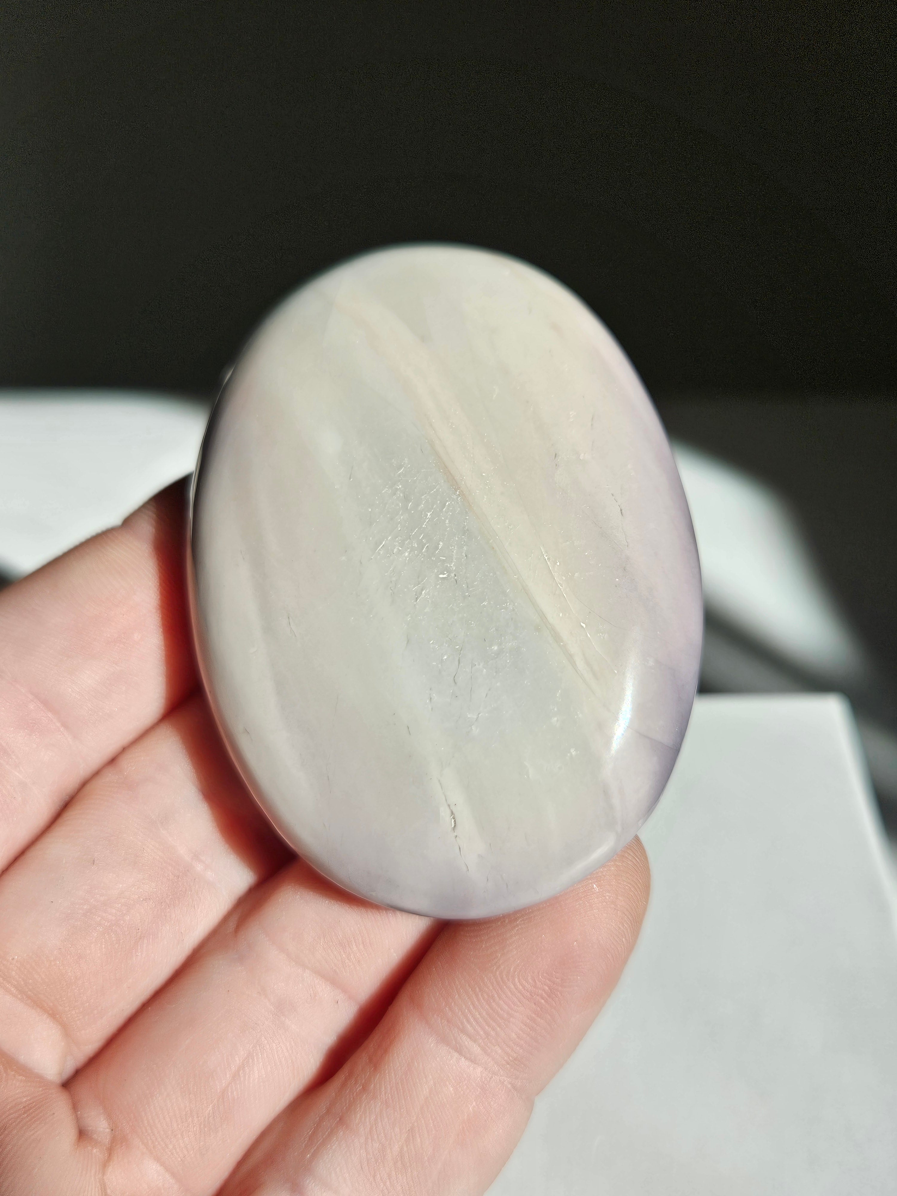 Hyacinth jasper palm 008