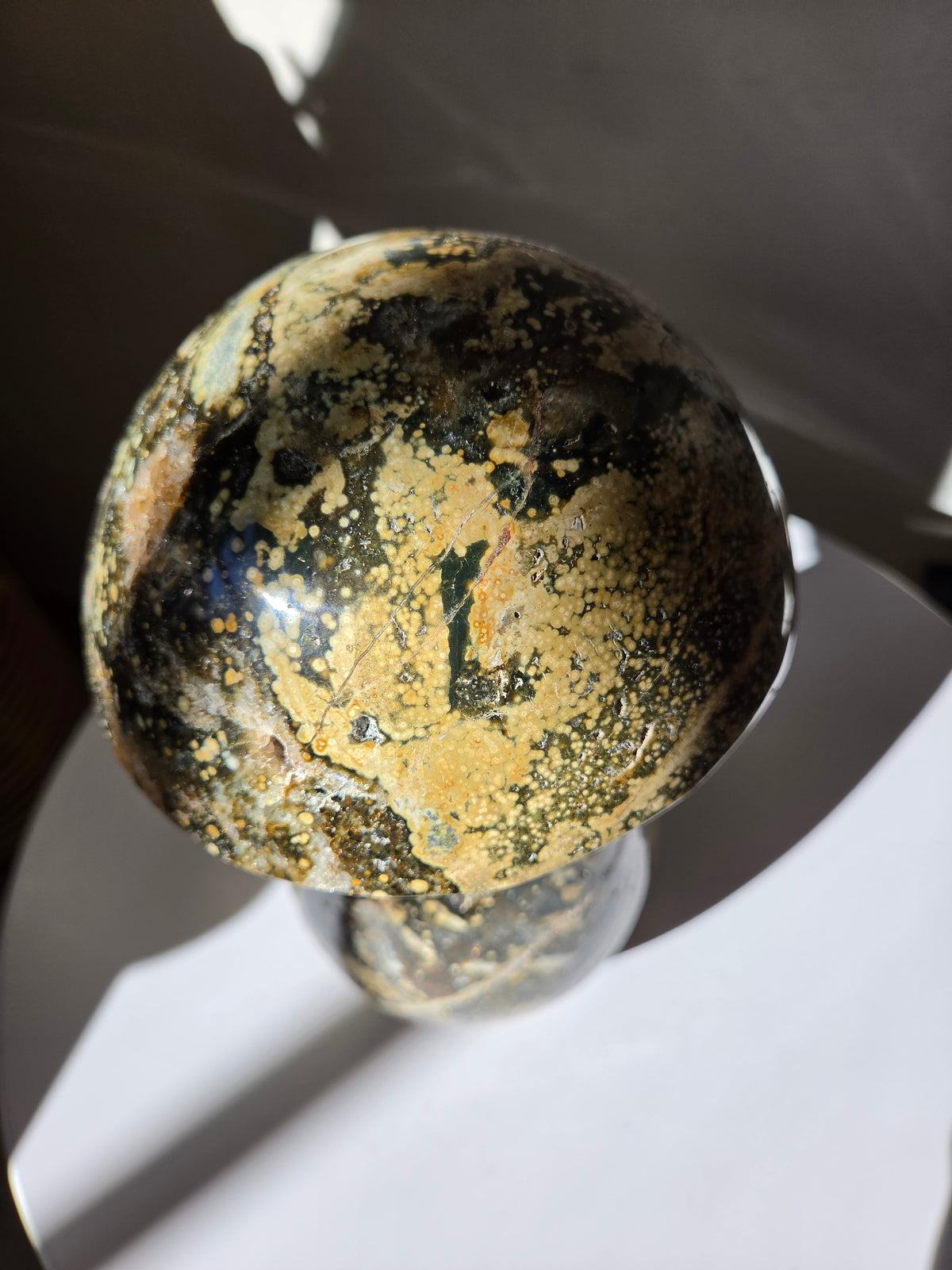 XL Sea Jasper Mushroom 003