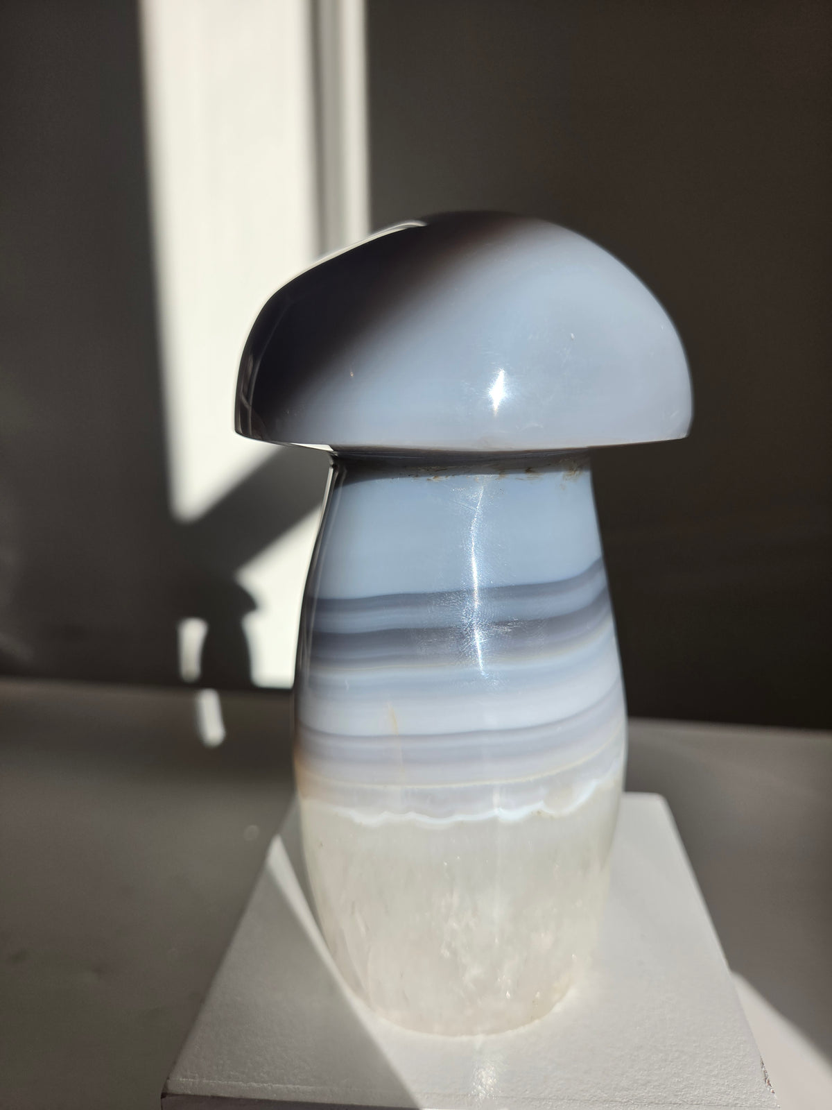 Banded Agate Mushroom 002