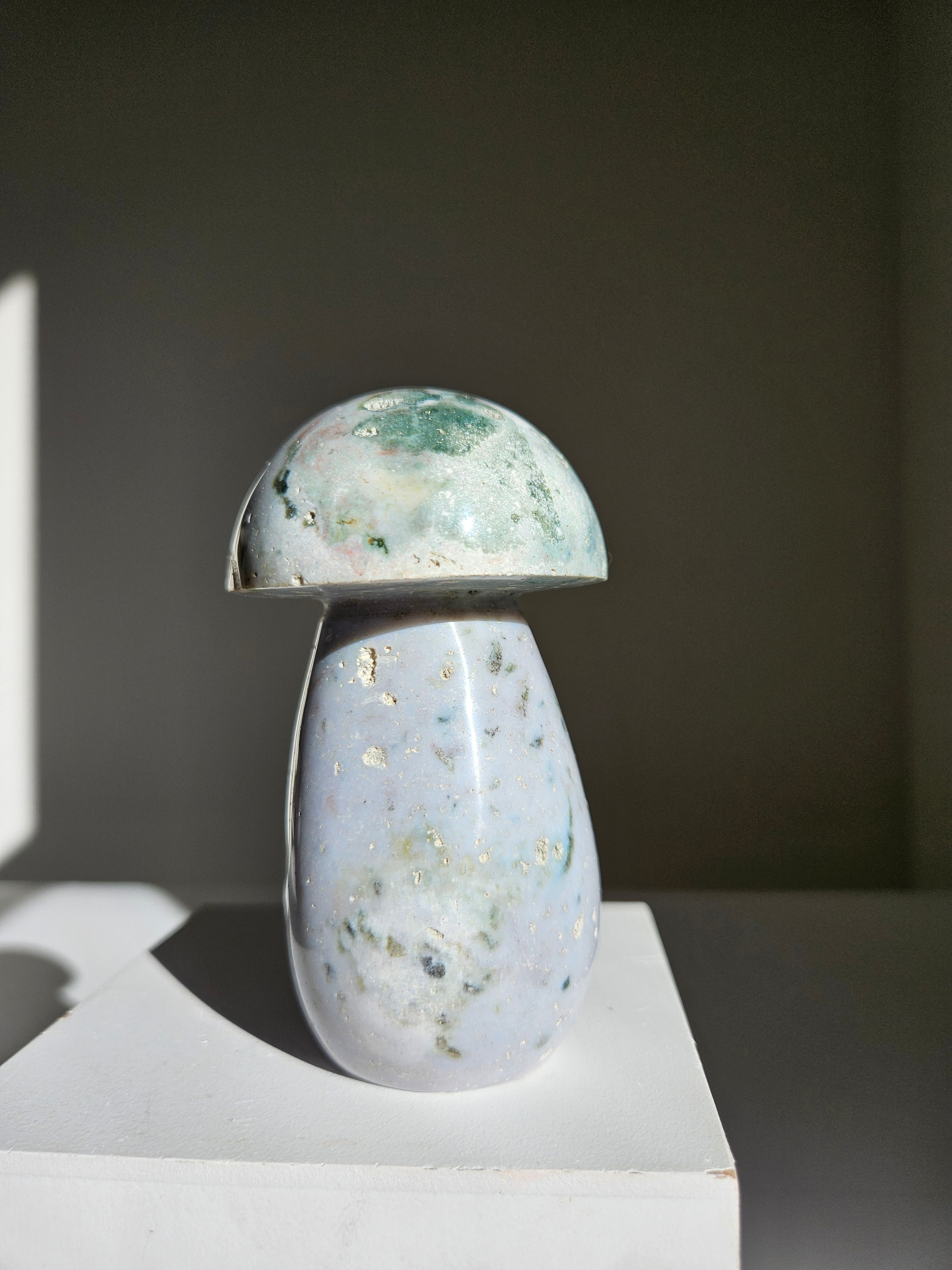 Sea jasper mushroom 006
