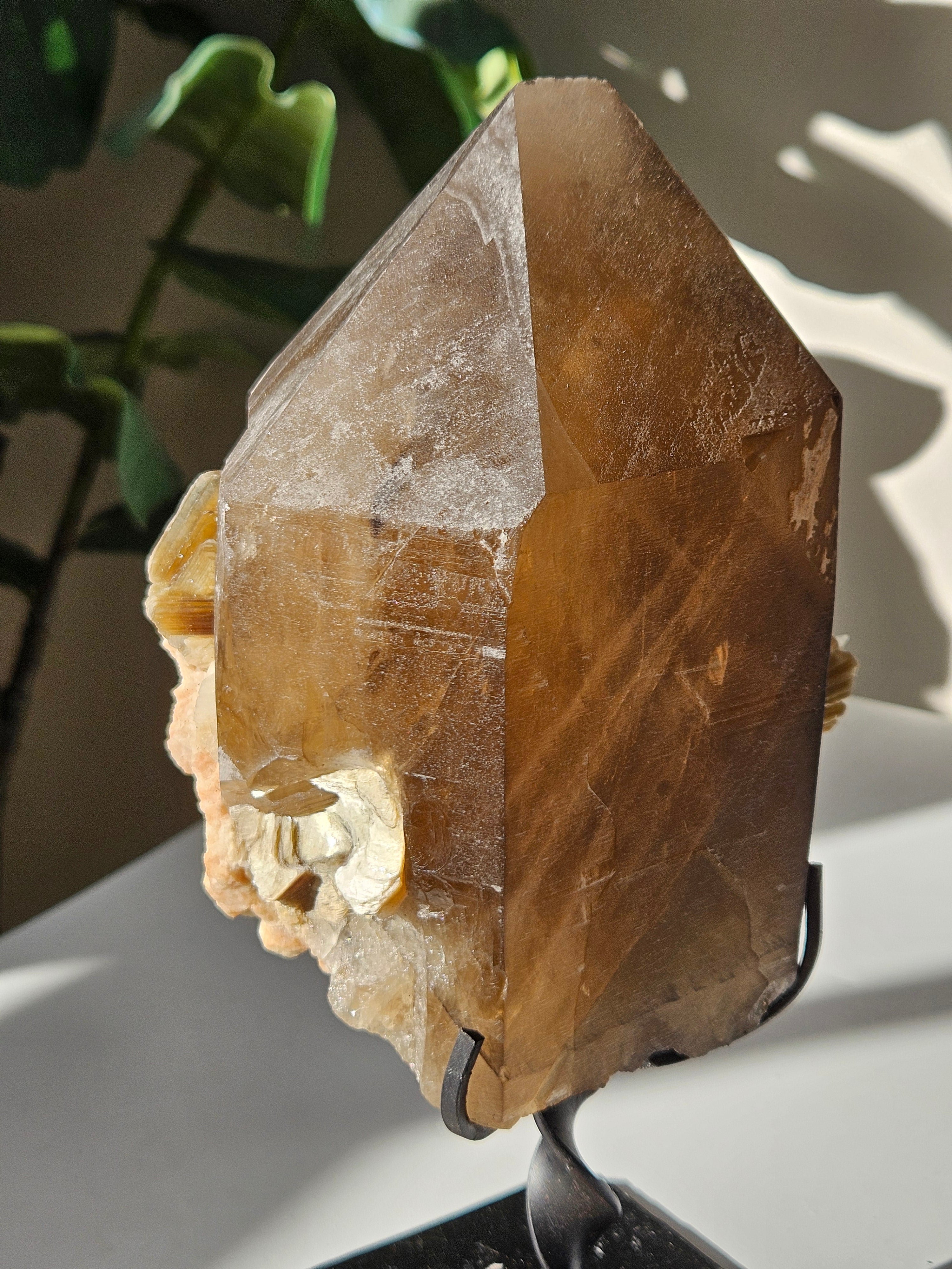 Smoky Quartz x Mica on Stand