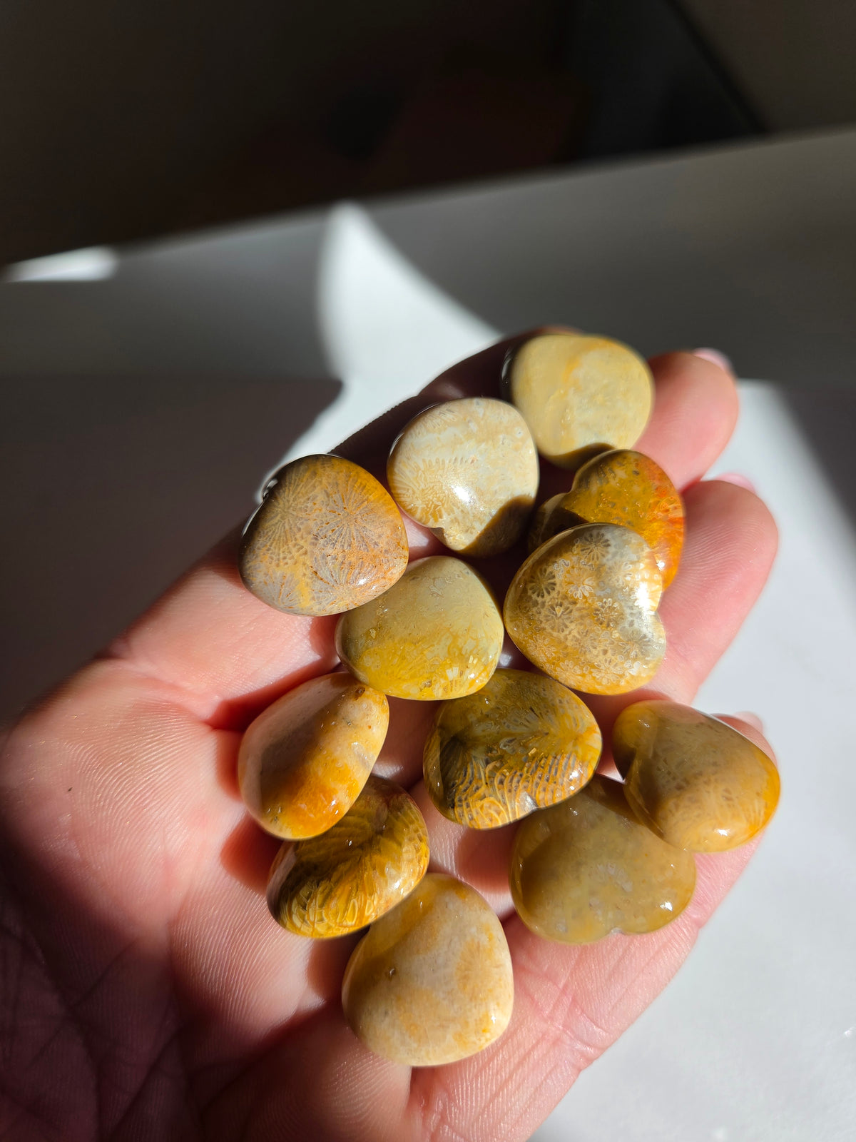 Fossilized Coral Mini Heart